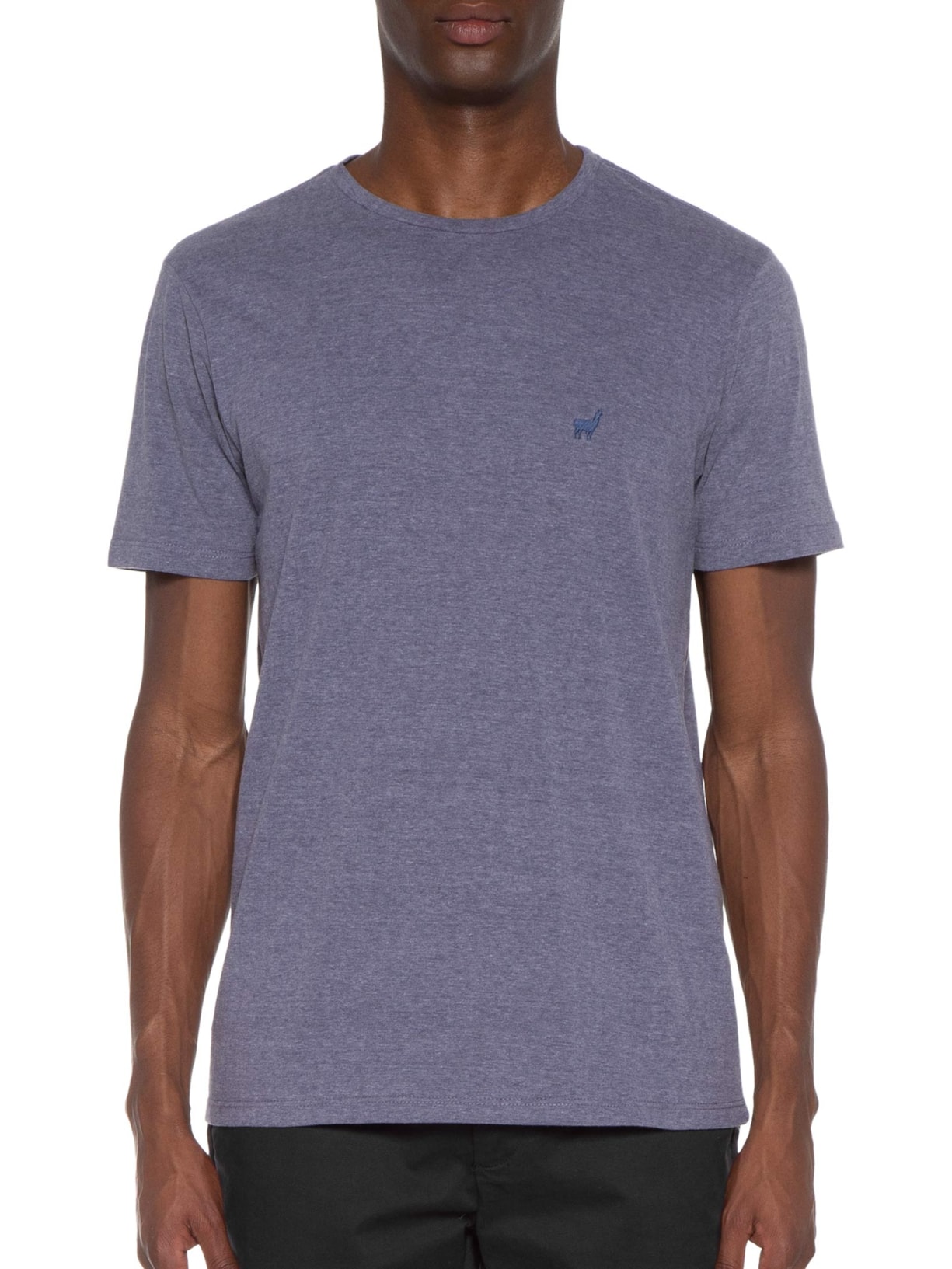 Camiseta Masculina Rafael Azul Zapalla