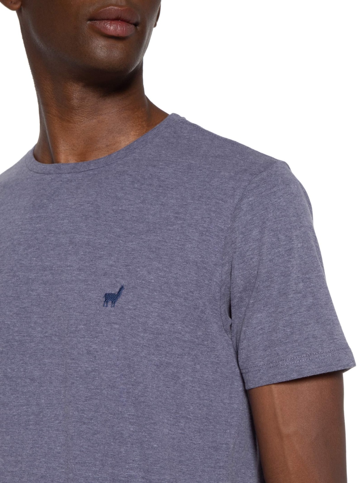 Camiseta Masculina Rafael Azul Zapalla