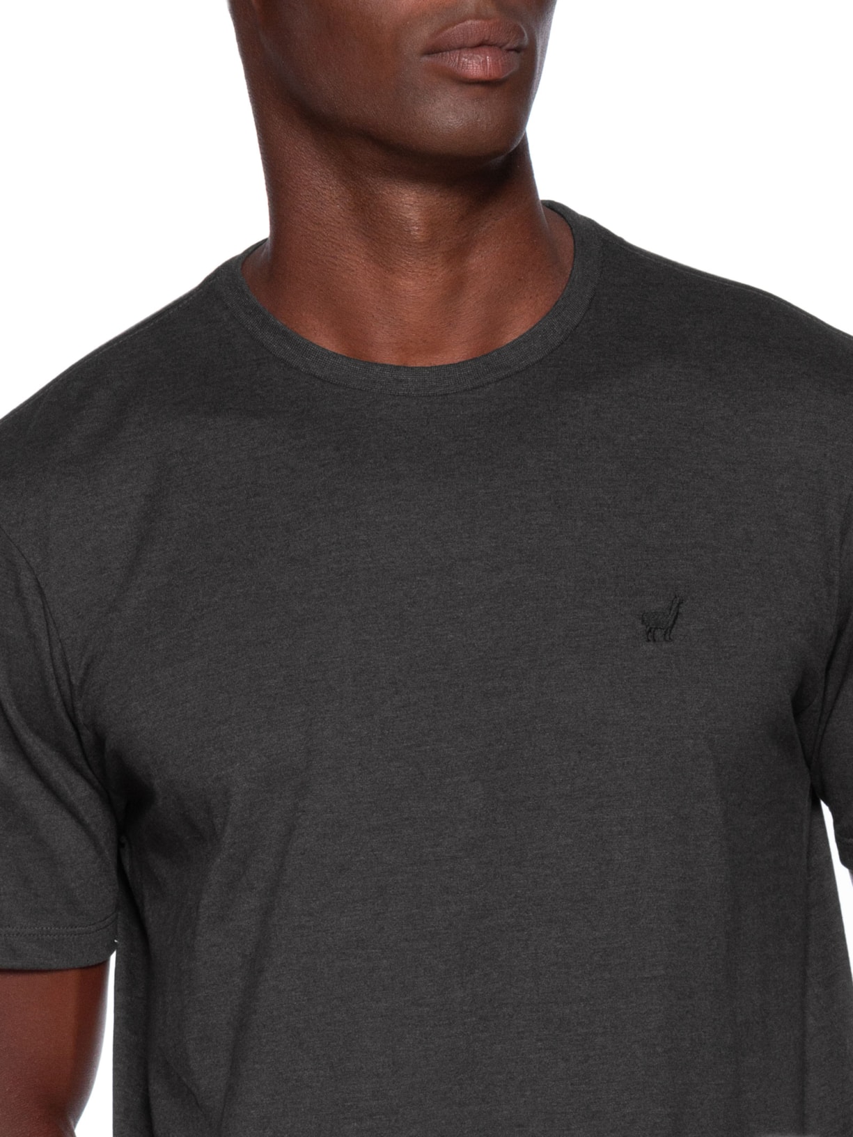 Camiseta Masculina Rafael Preto Zapalla