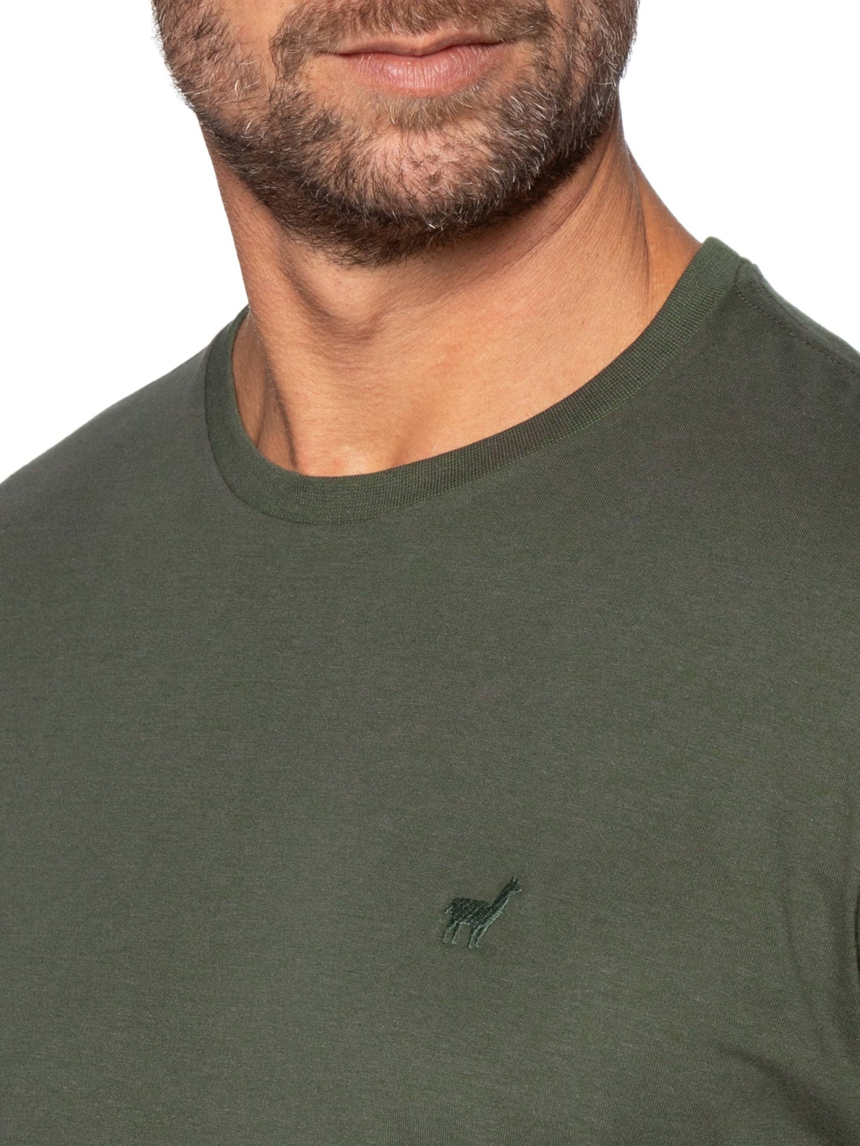 Camiseta Masculina Rafael Verde Zapalla