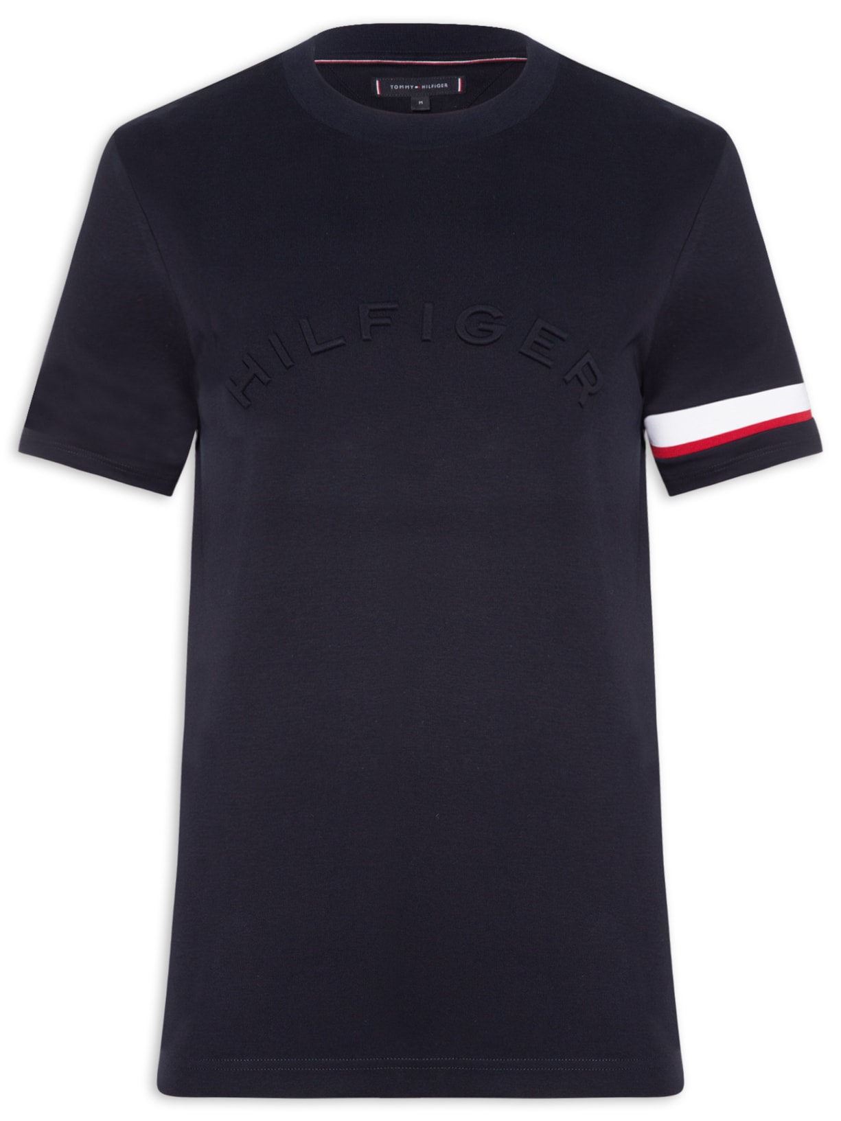 Camiseta Masculina Regular Fit Insert - Azul