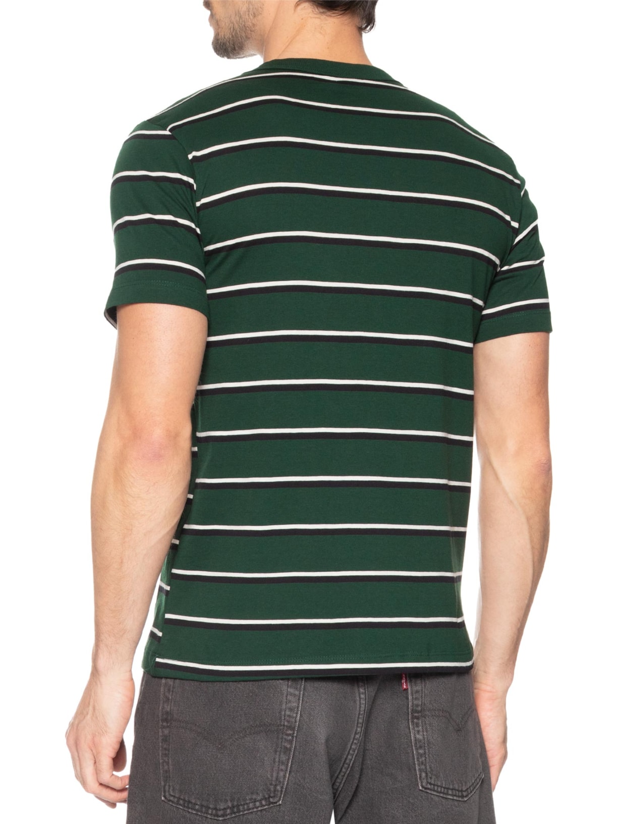 Camiseta Masculina Regular Fit Listrada Fio Tinto Verde Hering