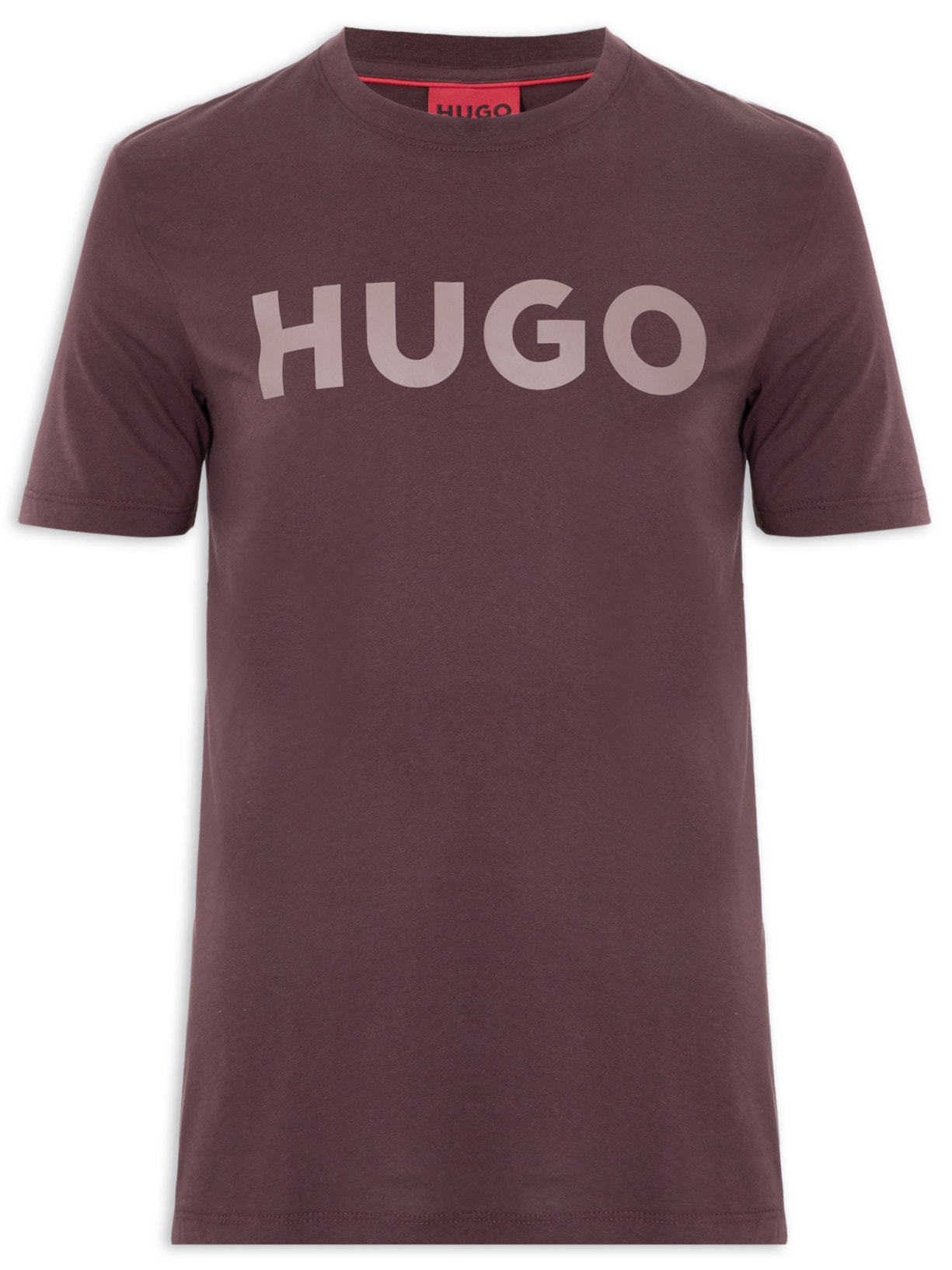 Camiseta Masculina Regular Fit Logo Printed Dulivi - Marrom
