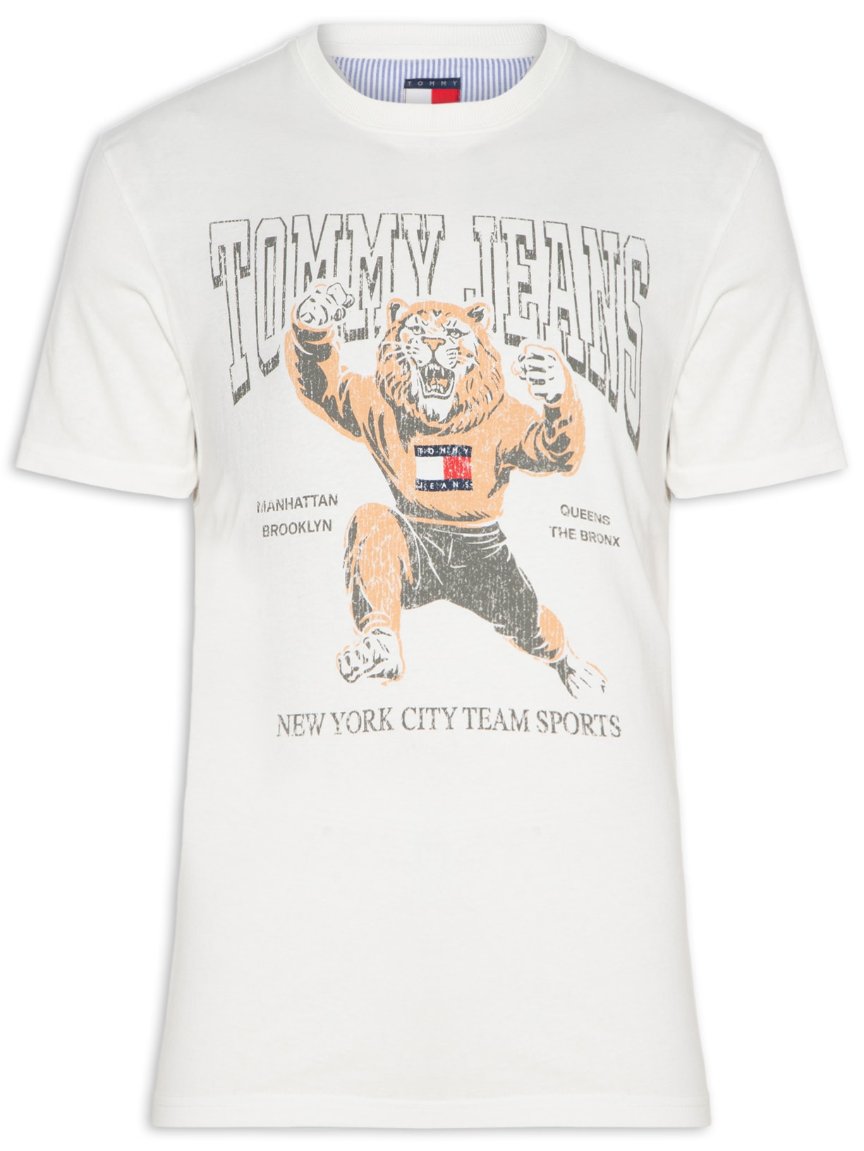 Camiseta Masculina Regular Fit Varsity Novelty - Branco