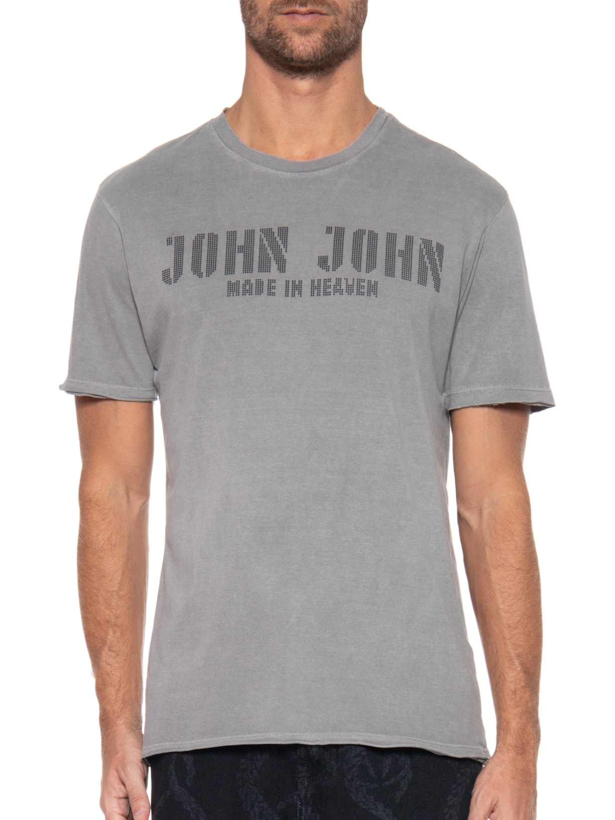 Camiseta Masculina Rg John Base Cinza John John