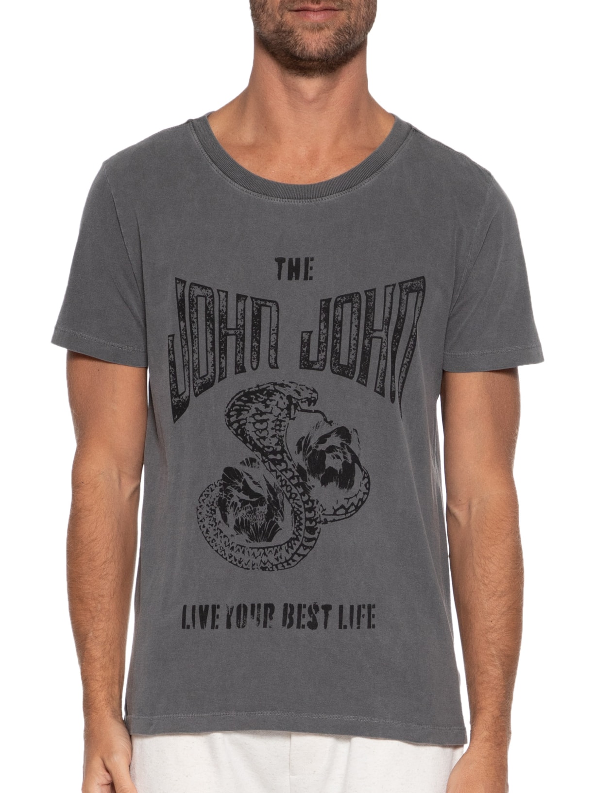 Camiseta Masculina Rg Snake Flower Cinza John John