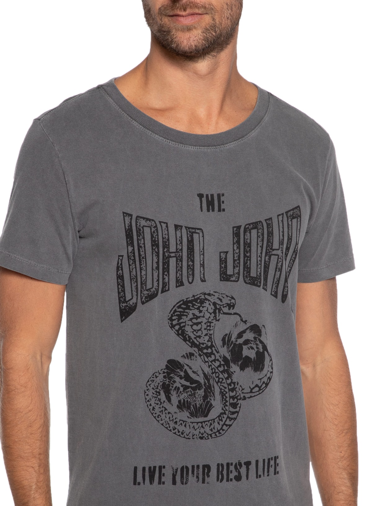 Camiseta Masculina Rg Snake Flower Cinza John John