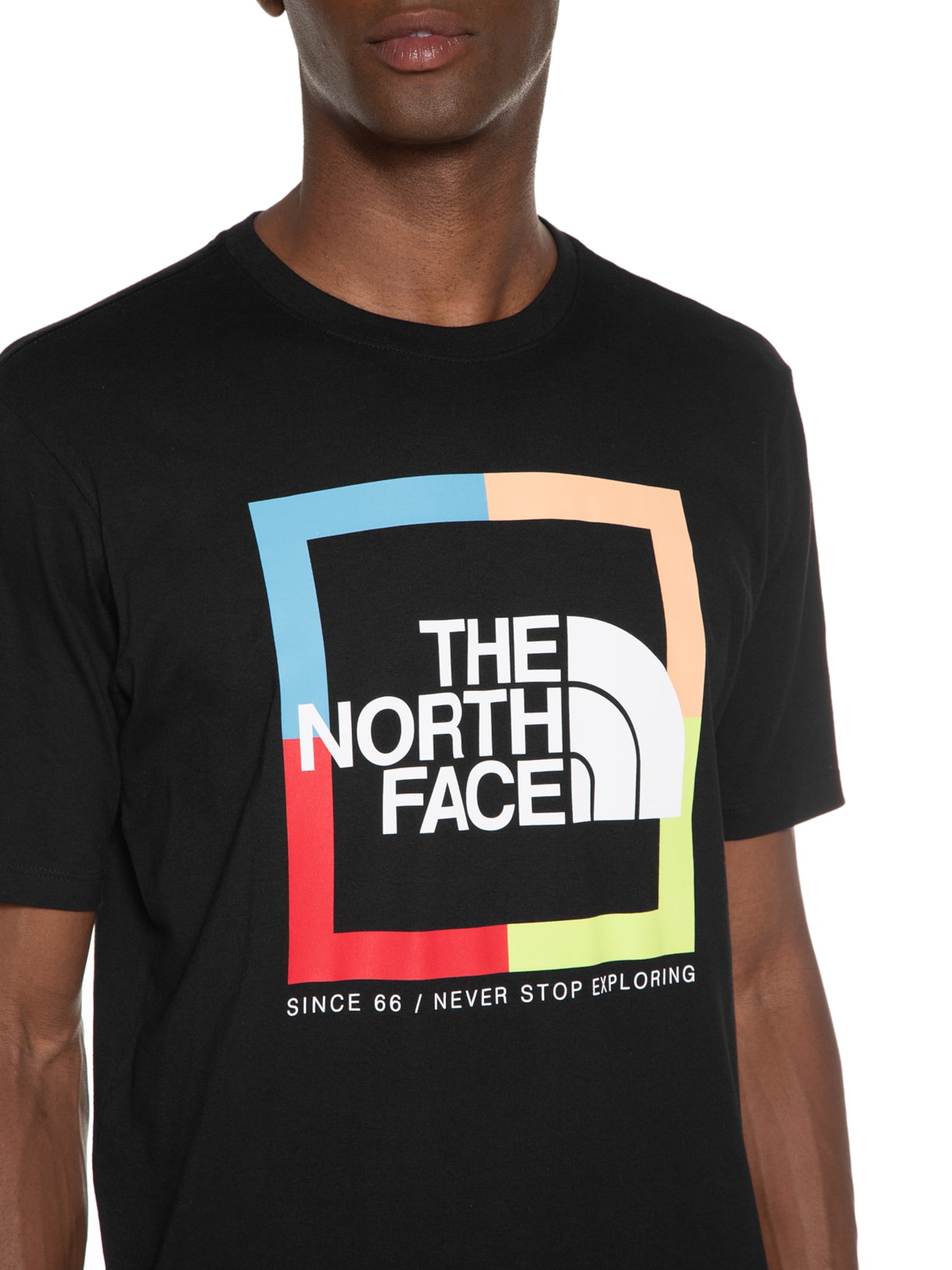 Camiseta Masculina S/s Coordinates Preto The North Face