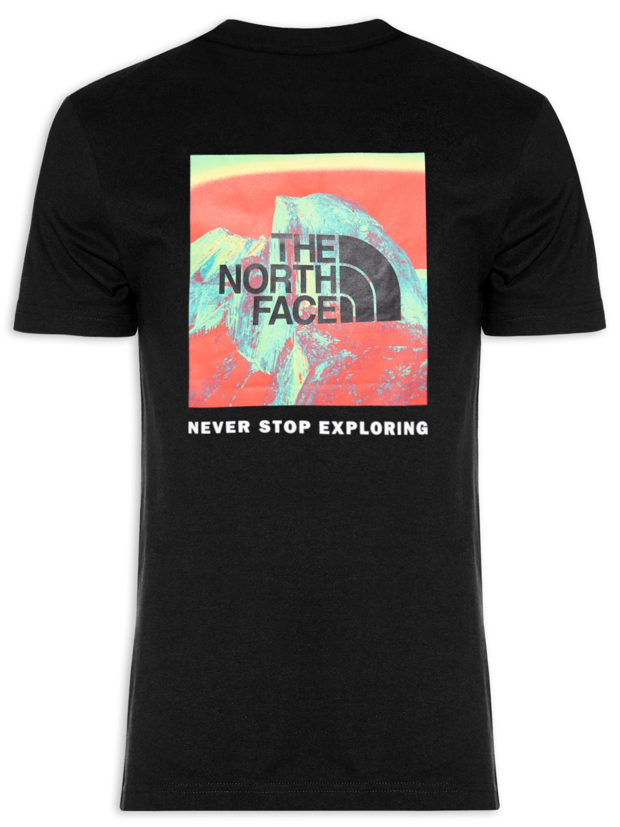 Camiseta Masculina S/s Printed Box Nse Tee - Preto