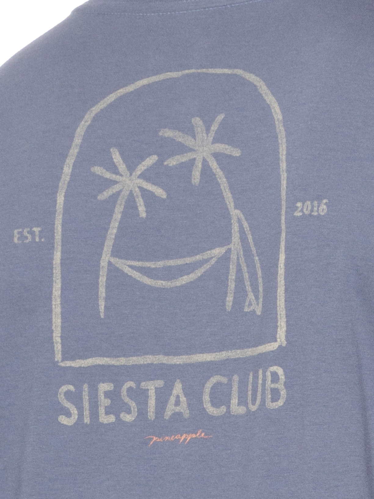 Camiseta Masculina Silk da Siesta Club Azul  Pineapple