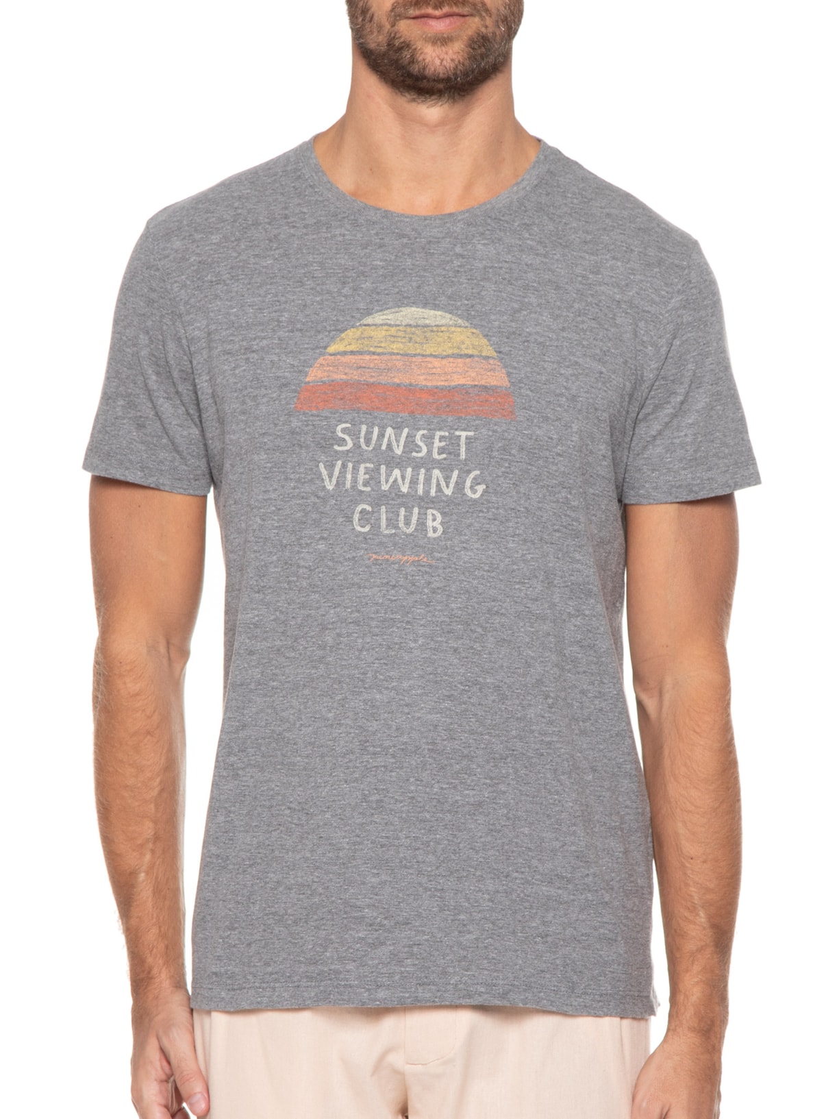 Camiseta Masculina Silkada Sunset Viewing Club Cinza Pineapple