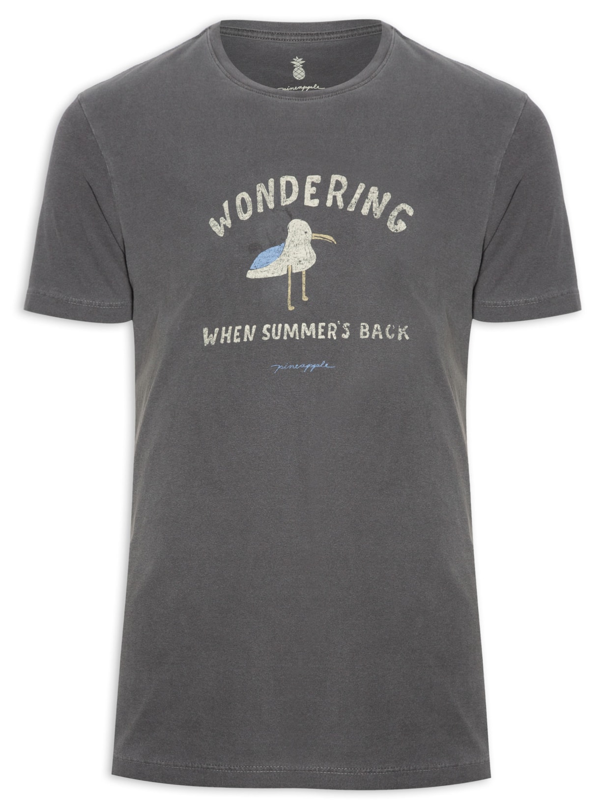 Camiseta Masculina Silkada Wondering - Cinza