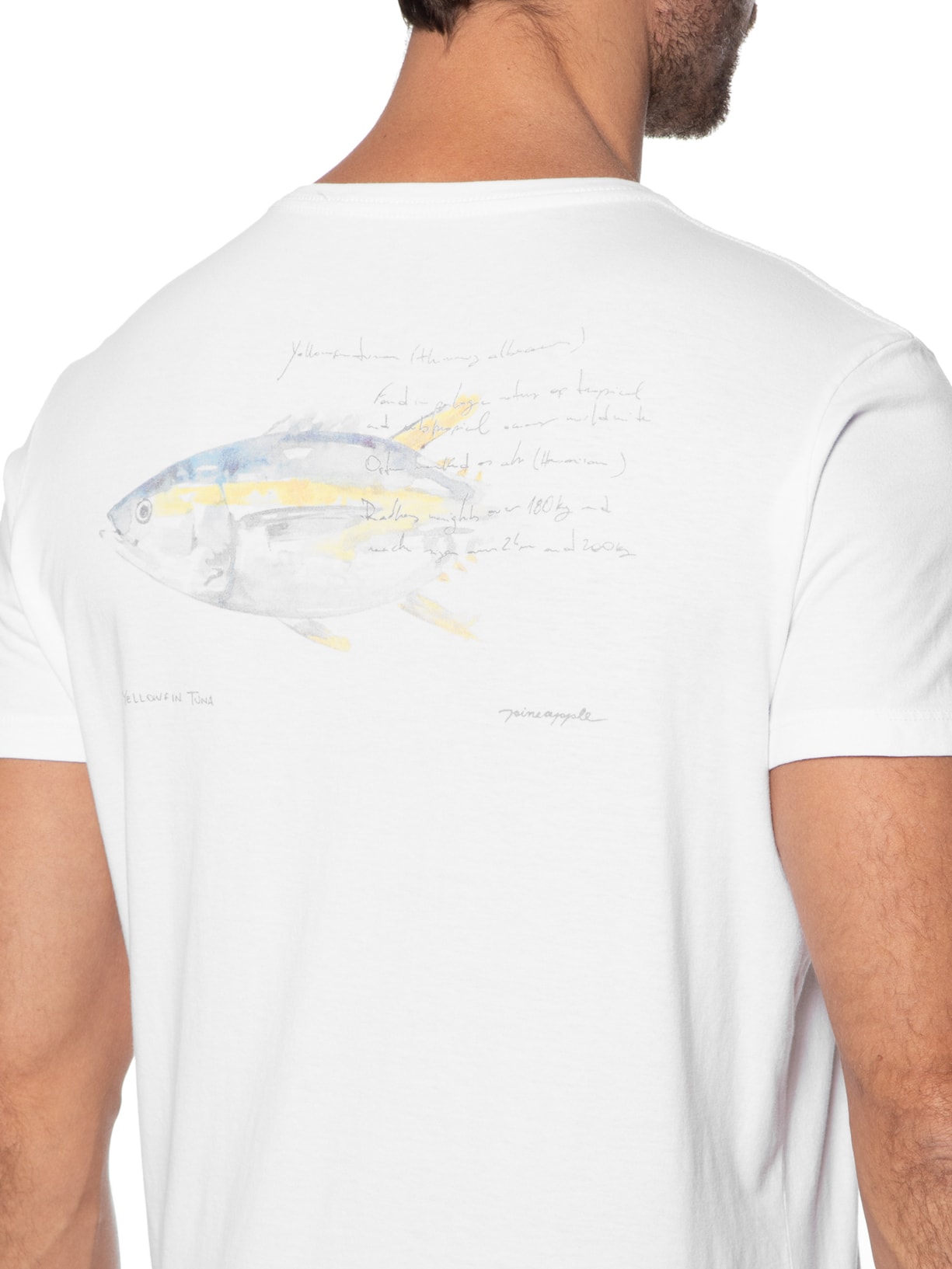 Camiseta Masculina Silkada Yellowfin Branco Pineapple