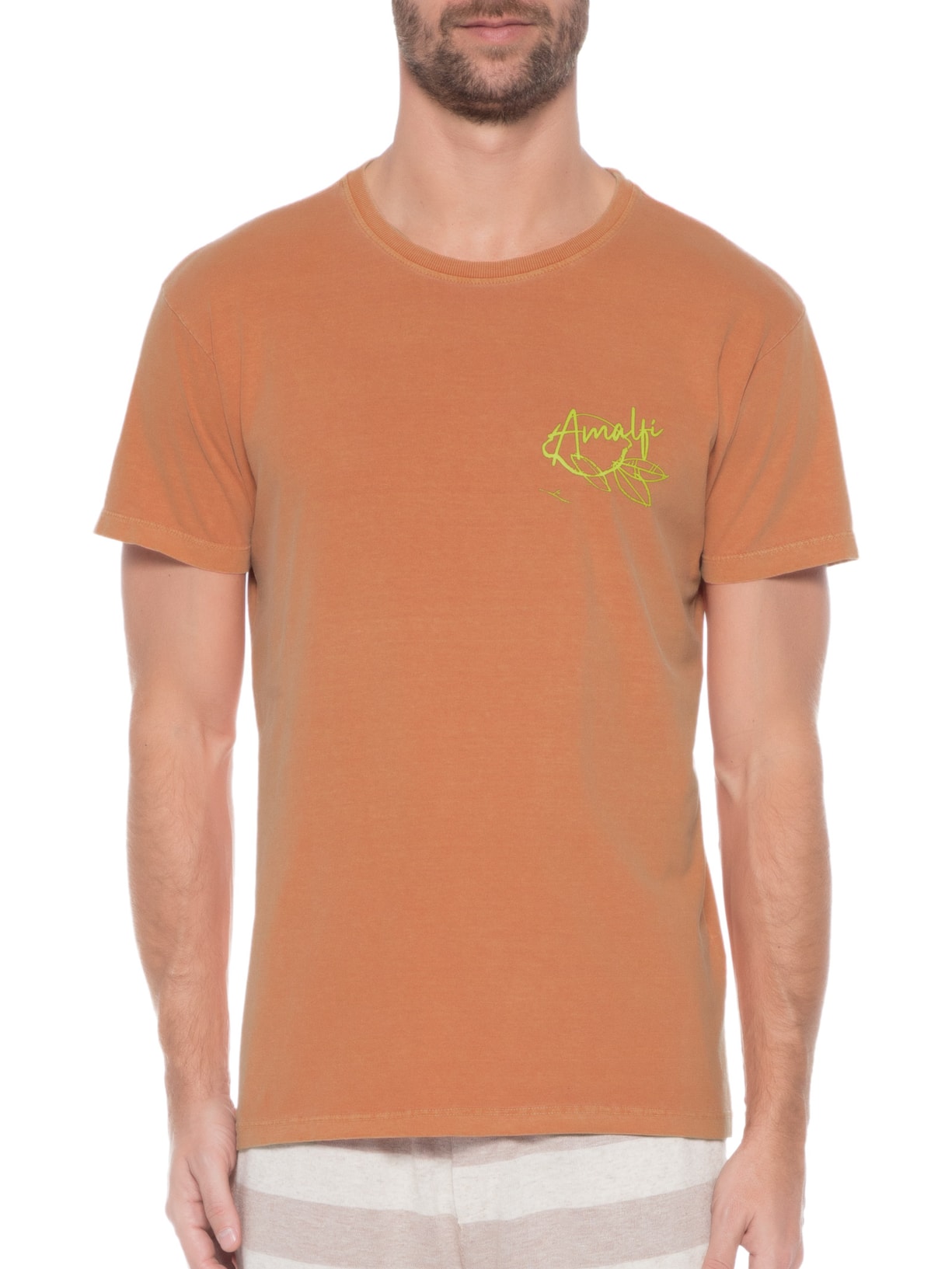 Camiseta Masculina Stonada Estampada Limão Raul Gastão Laranja Barche