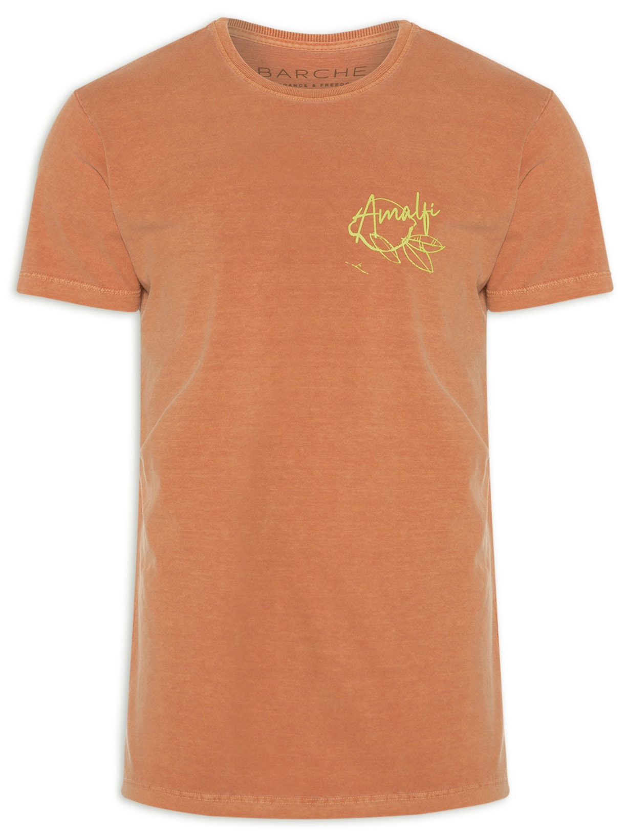 Camiseta Masculina Stonada Estampada Limão Raul Gastão Laranja Barche