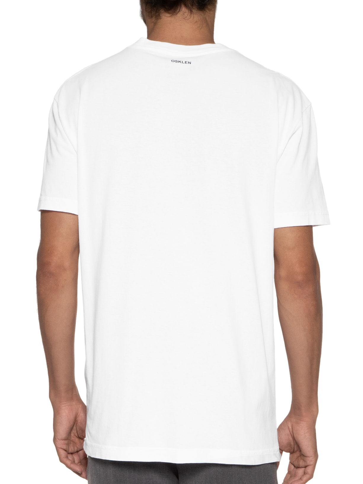 Camiseta Masculina Stone Diptico Branco Osklen
