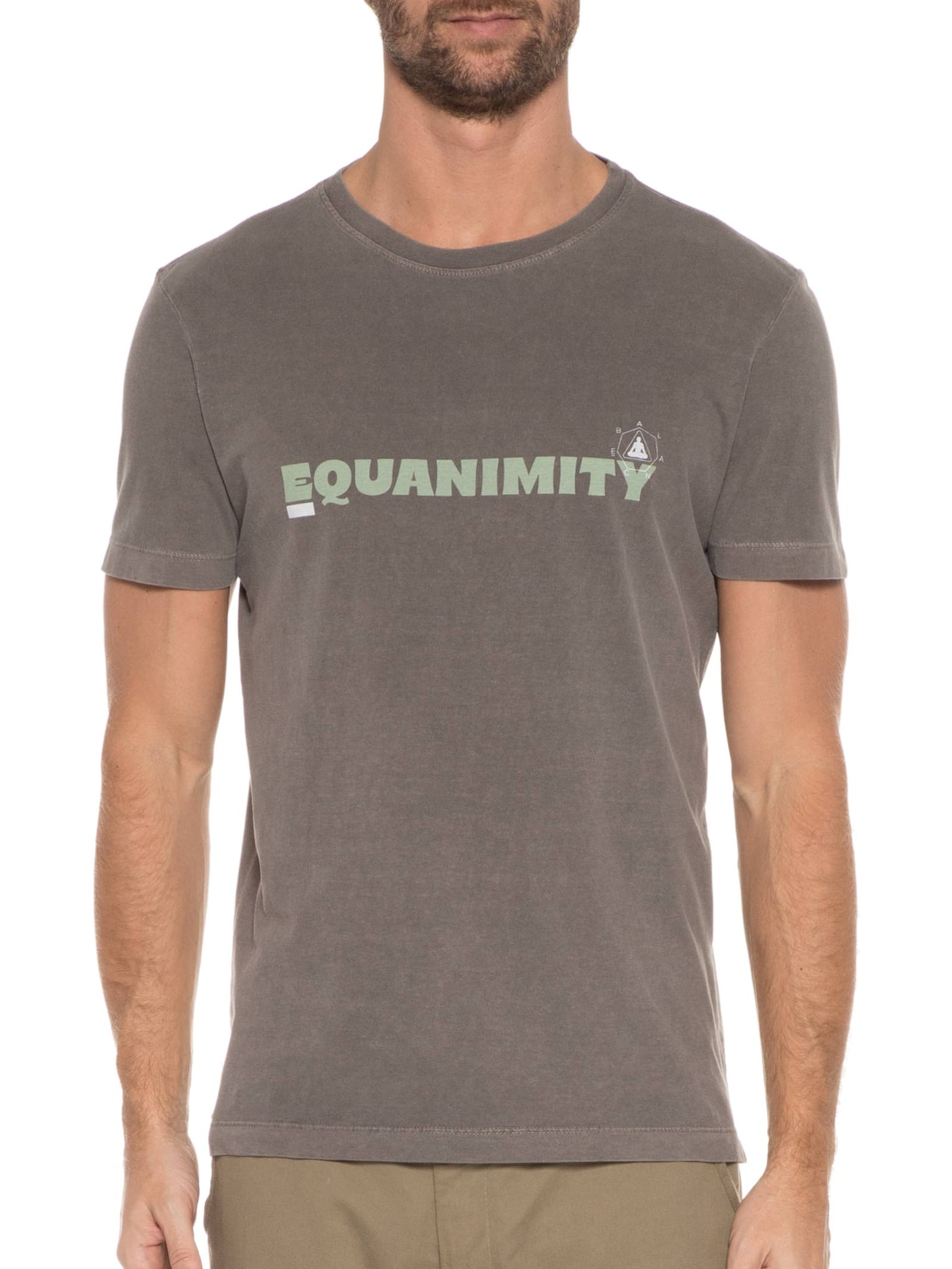 Camiseta Masculina Stone Equanimity Cinza Osklen