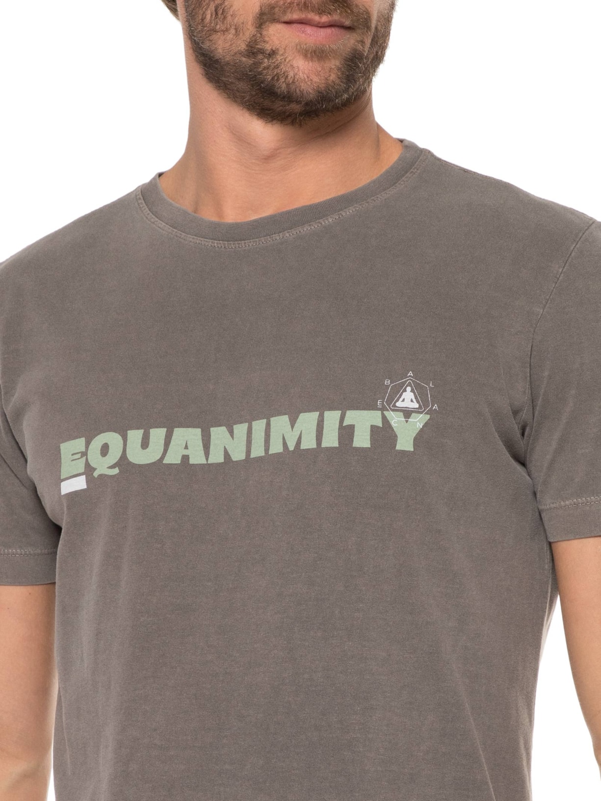 Camiseta Masculina Stone Equanimity Cinza Osklen