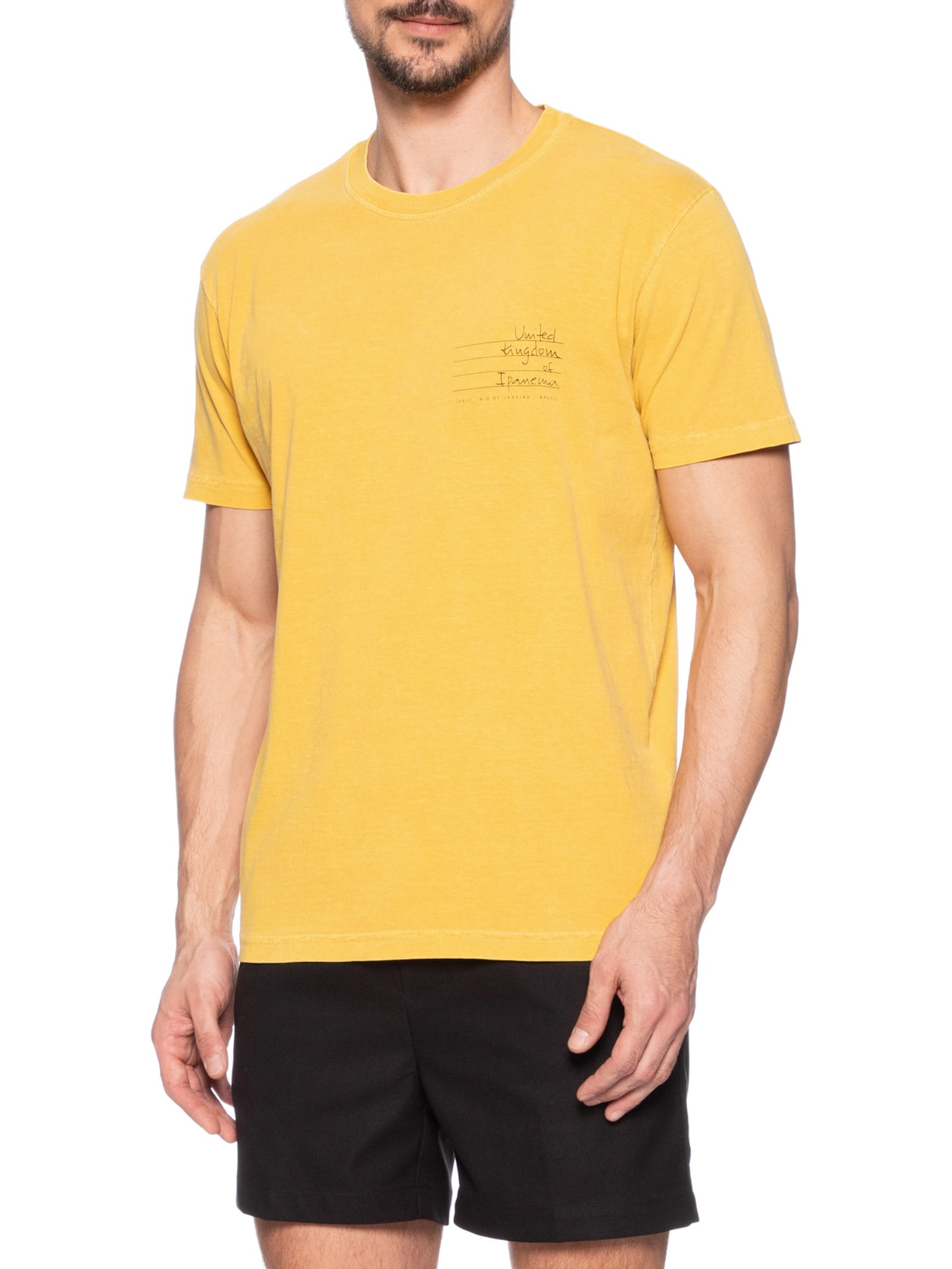 Camiseta Masculina Stone Icones Manga Curta Amarelo Osklen