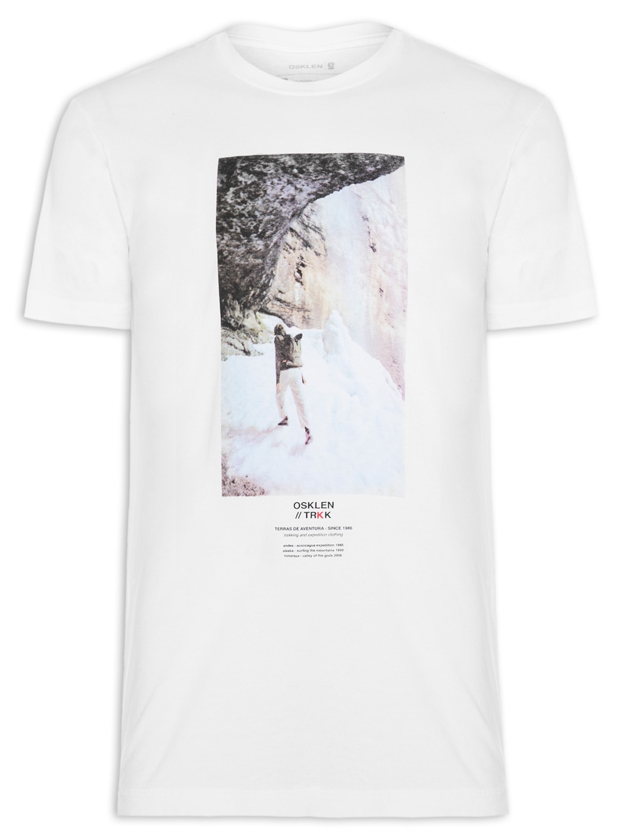 Camiseta Masculina Stone In The Snow Branco Osklen
