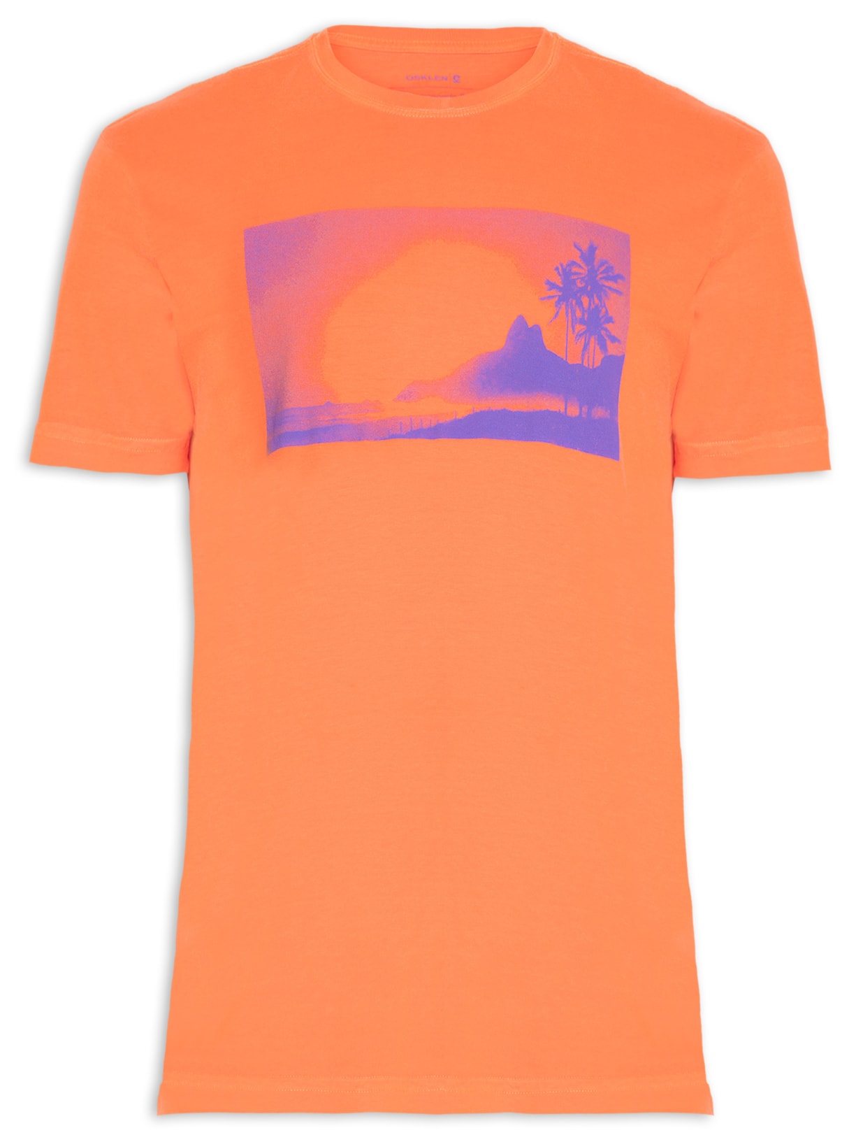 Camiseta Masculina Stone Morro 2 Irmãos Laranja Osklen