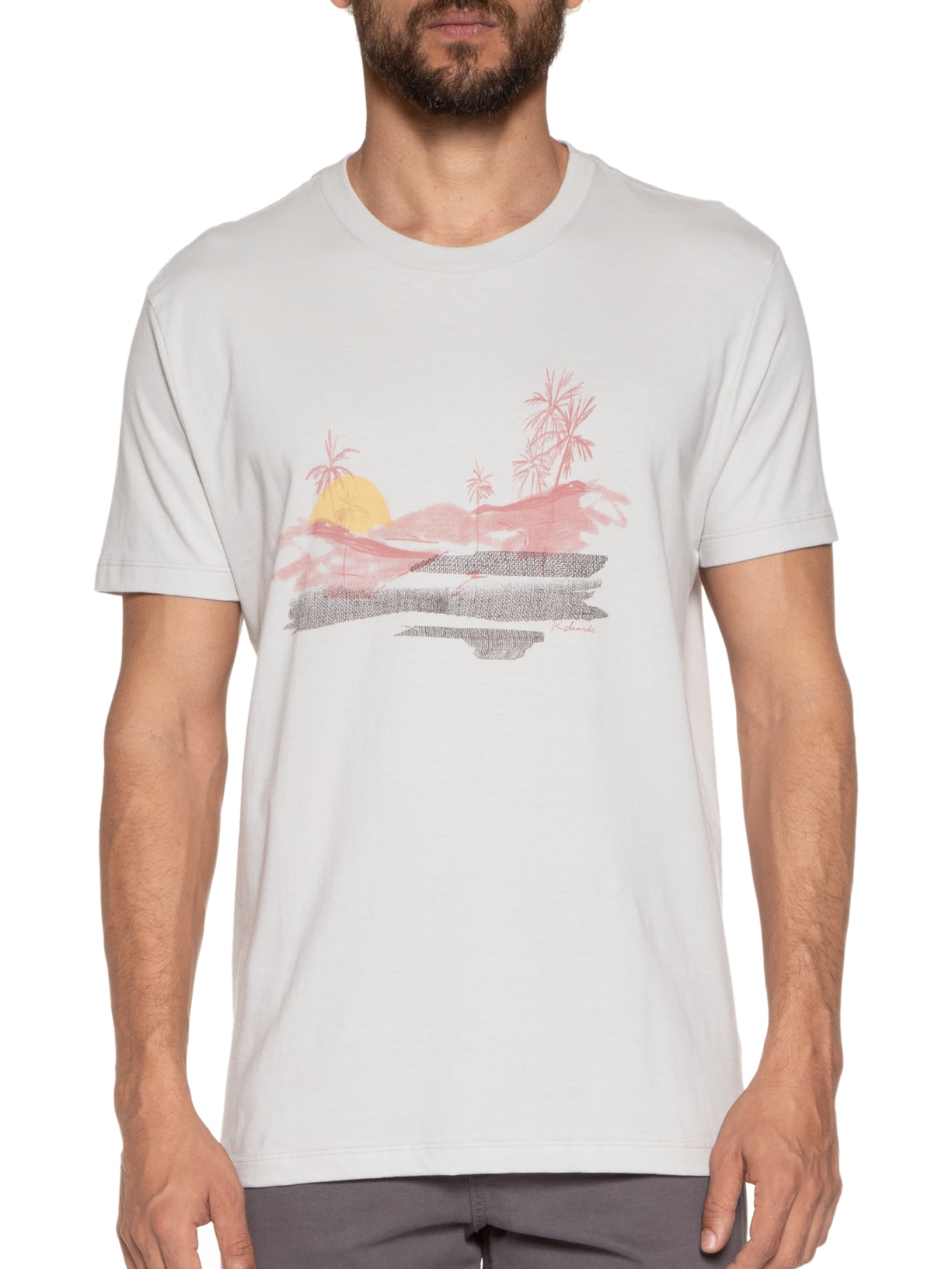 Camiseta Masculina Sun And Mountain Cinza Richards