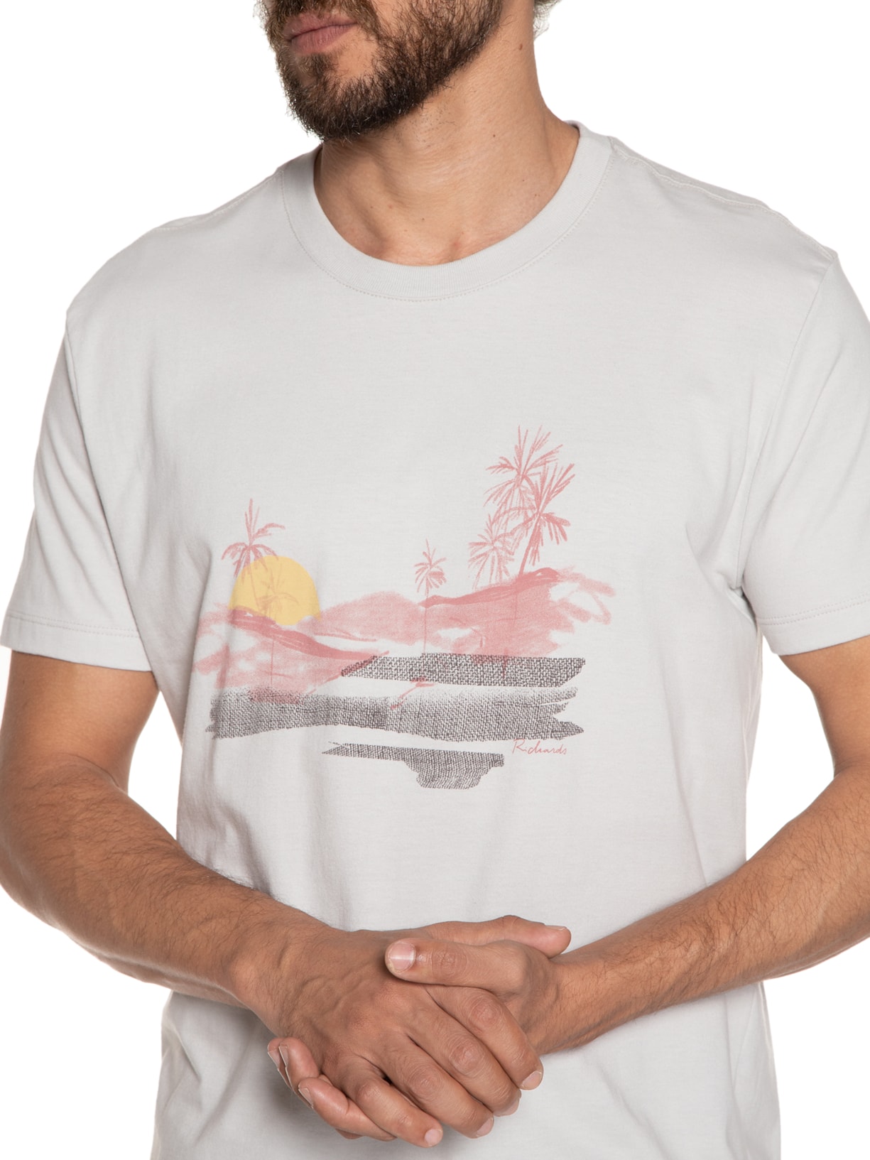 Camiseta Masculina Sun And Mountain Cinza Richards
