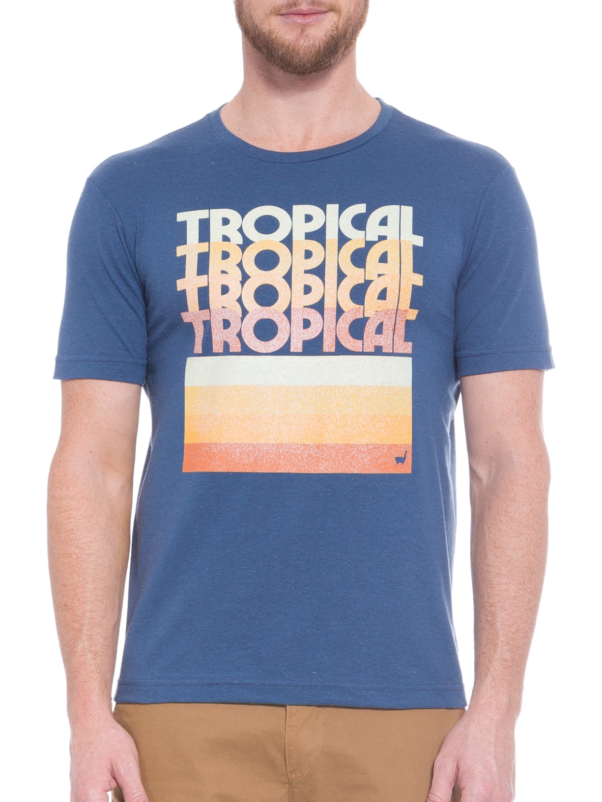 Camiseta Masculina Tropical Azul Zapalla