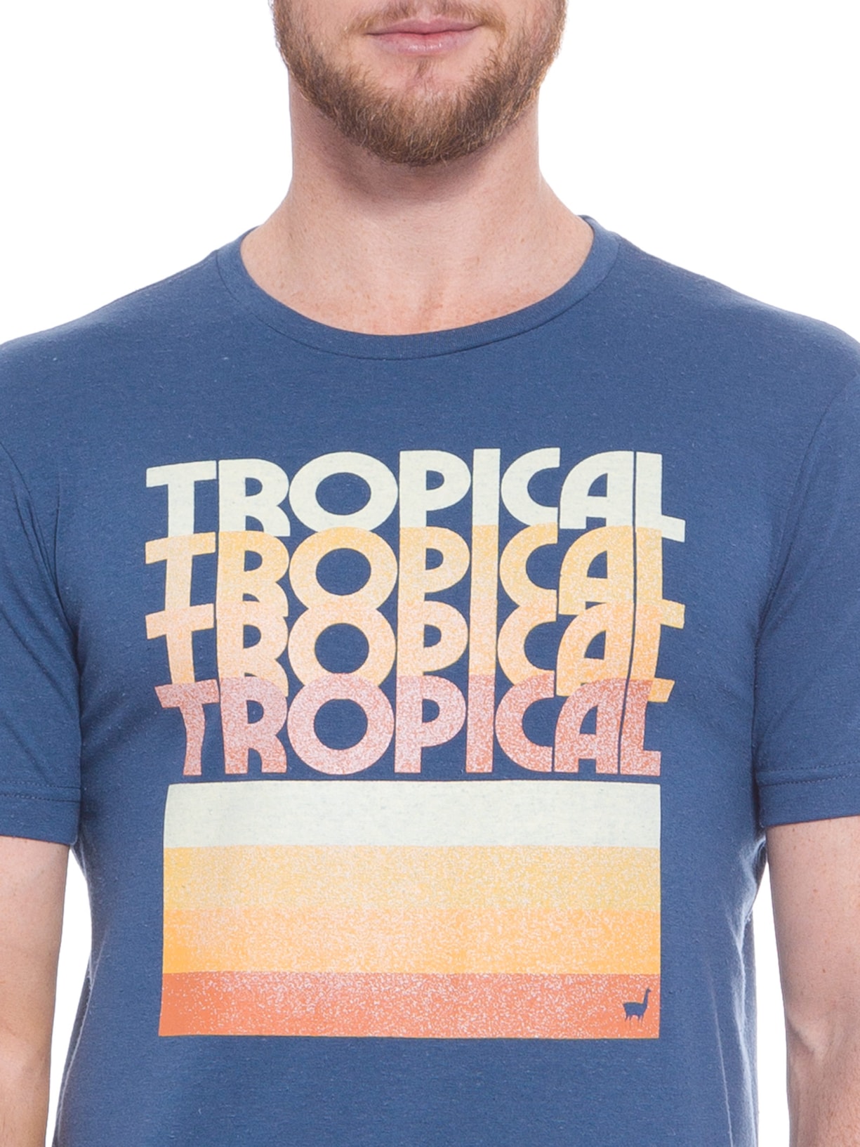 Camiseta Masculina Tropical Azul Zapalla