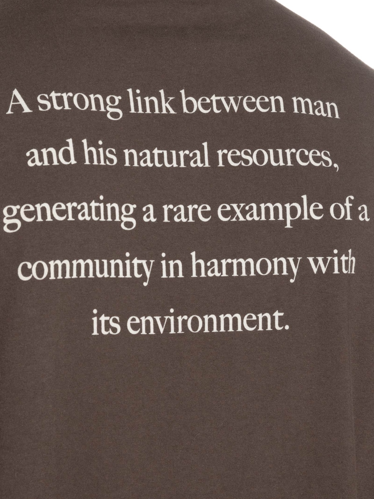 Camiseta Masculina Vintage Brazilian Coastal Manga Curta Marrom Osklen