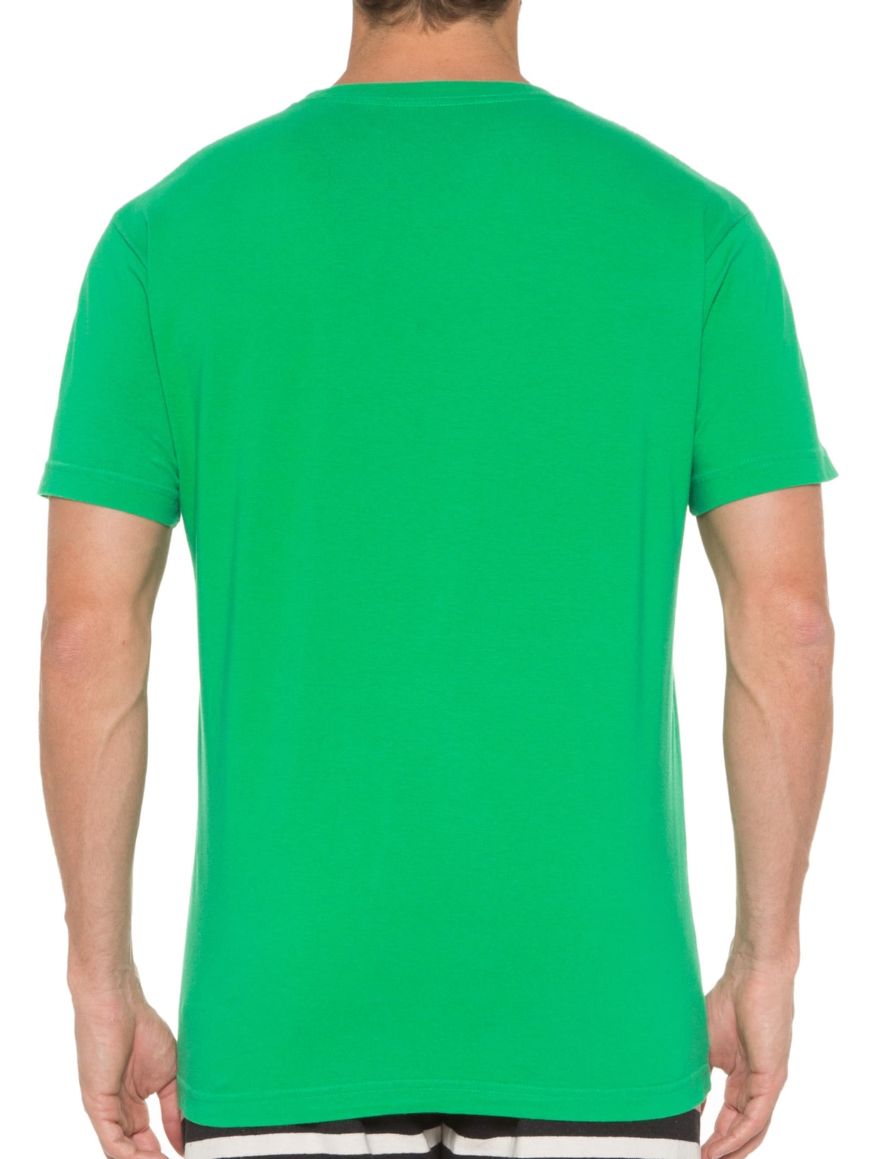 Camiseta Masculina Vintage Forests Roots Verde Osklen