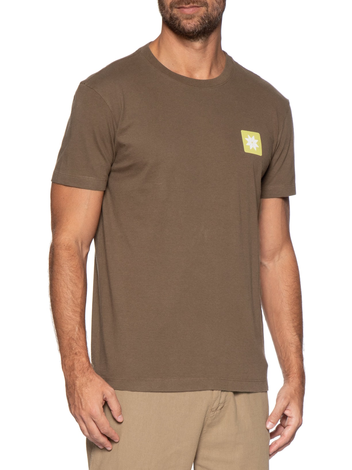 Camiseta Masculina Vintage Snow Icon Marrom Osklen