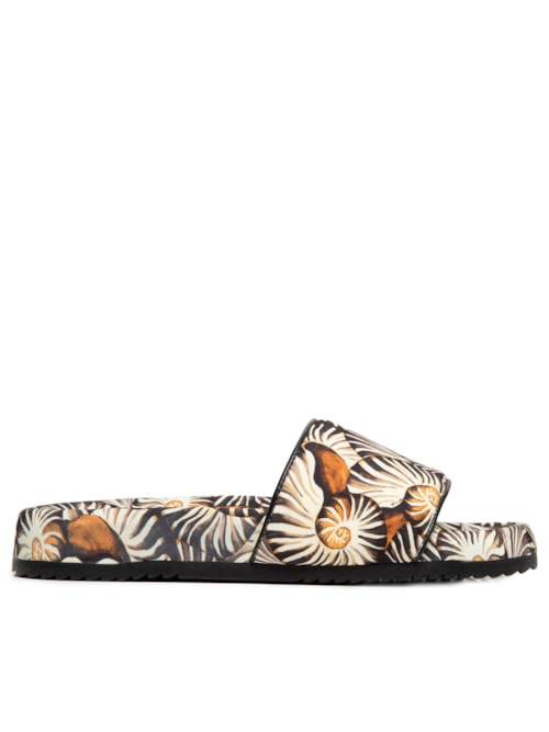 Chinelo Feminino Aq Dig - Preto