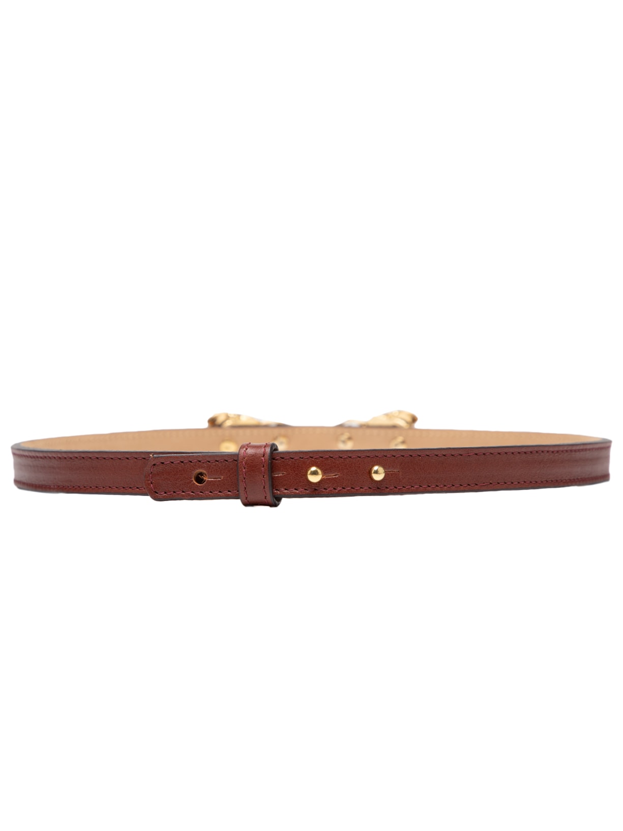 Cinto Feminino Gavina Marrom Gigi