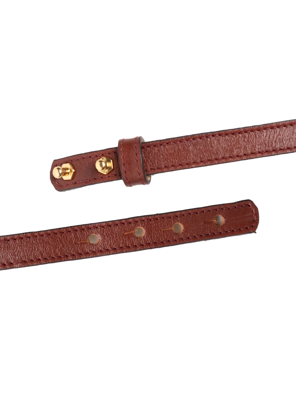 Cinto Feminino Gavina Marrom Gigi