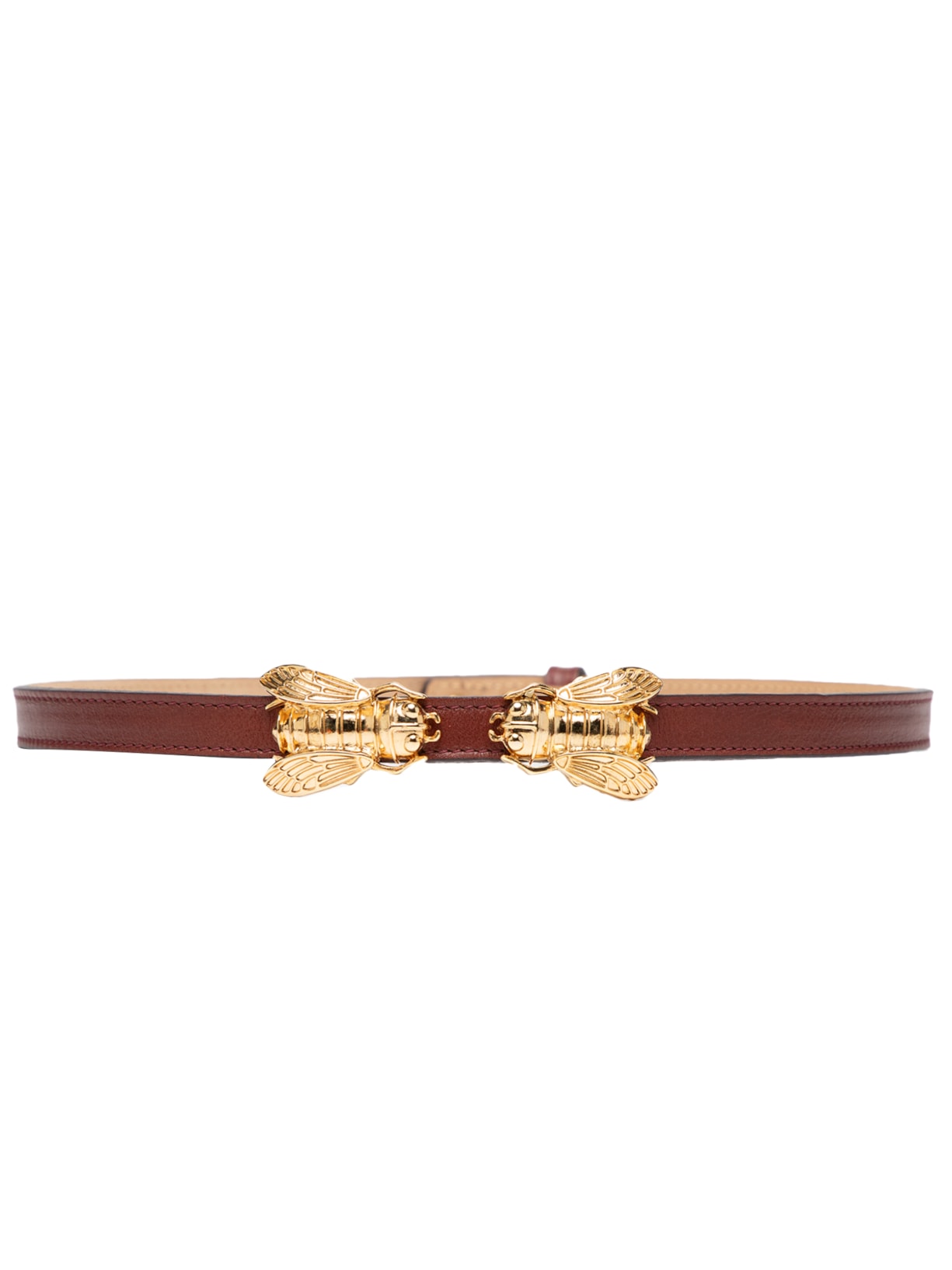 Cinto Feminino Gavina Marrom Gigi