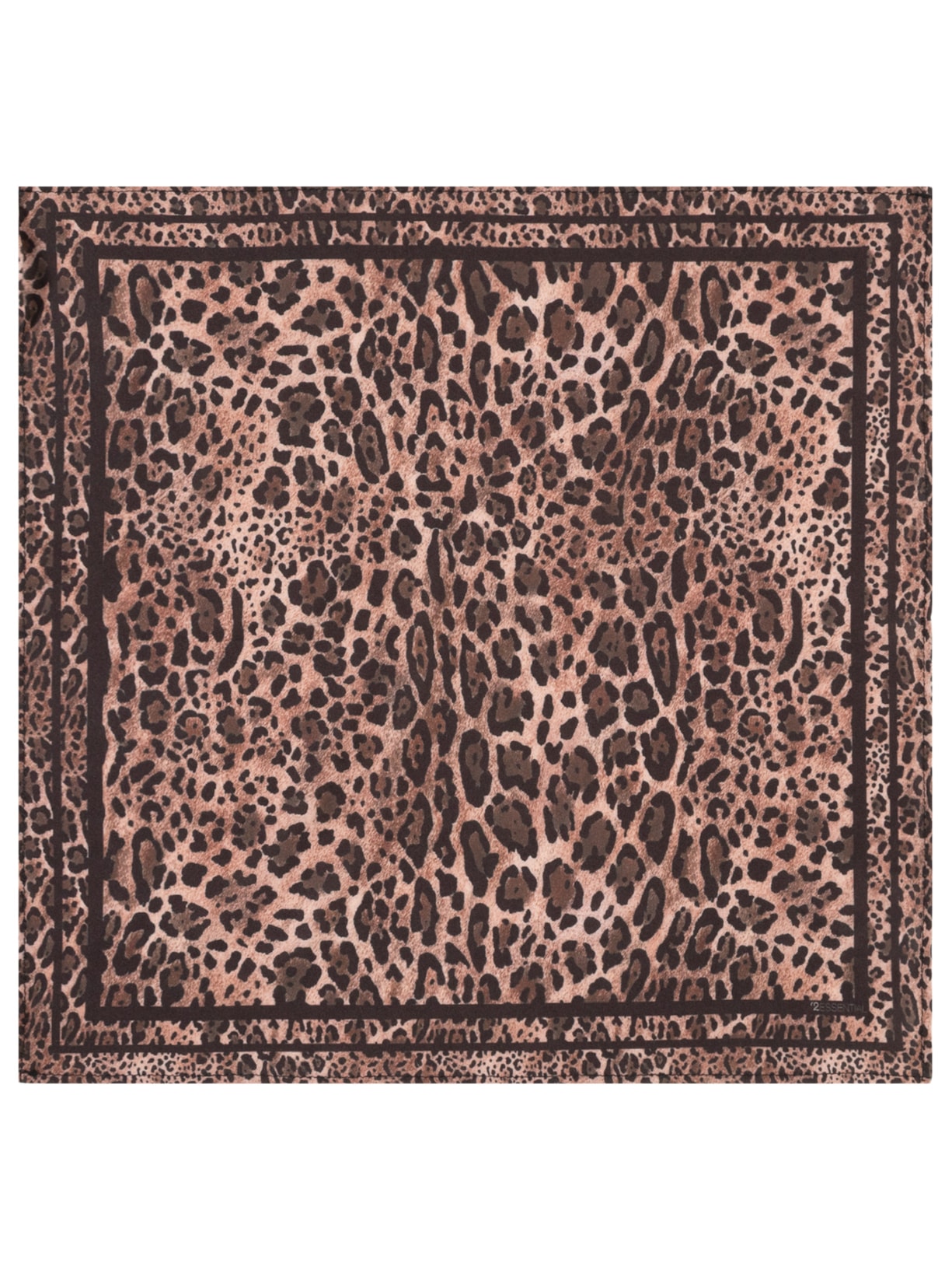 image_ac9eb78d-db29-4e62-b80d-ff0501acde81