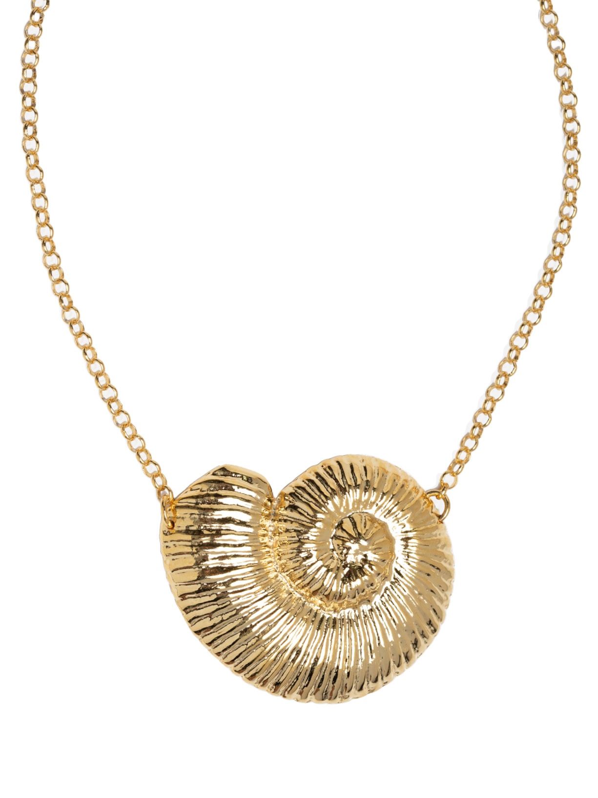 Colar Feminino Maxi Concha Dourado Lilac