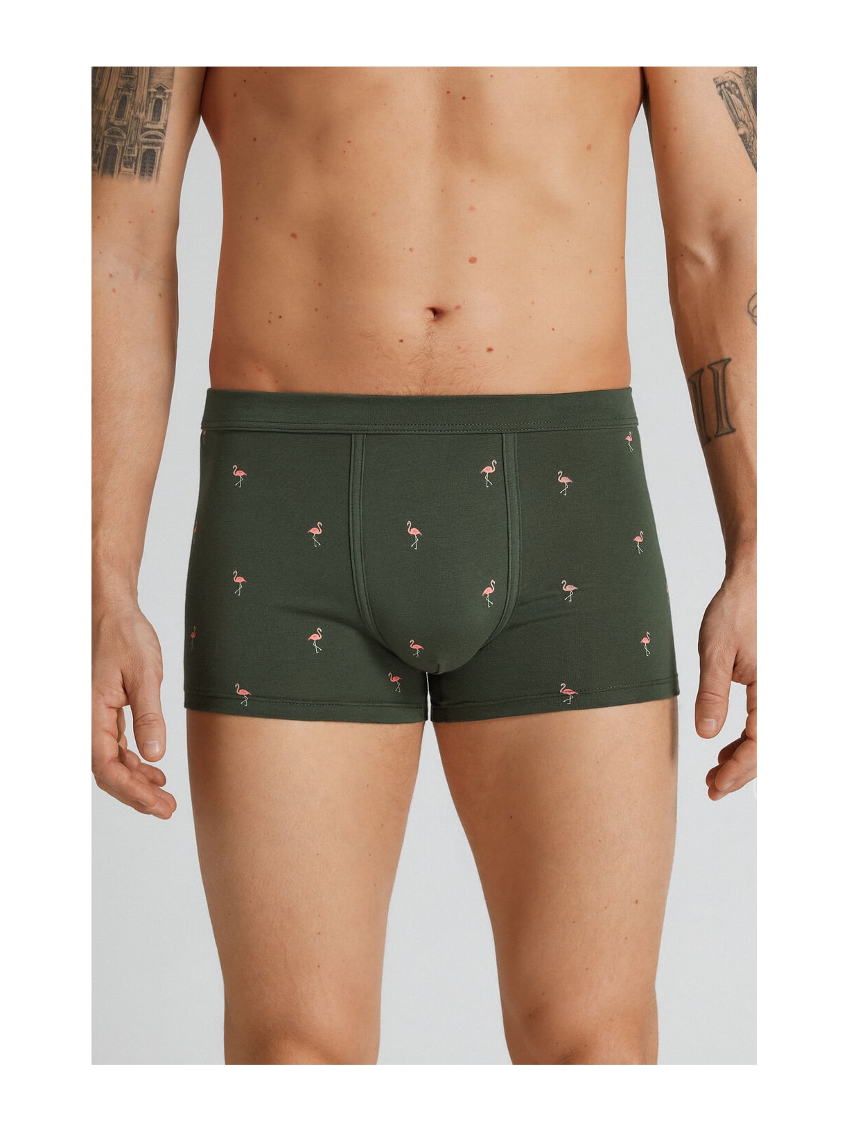 Cueca Boxer Em Algodão Superior Estampado Flamingos Verde Intimissimi