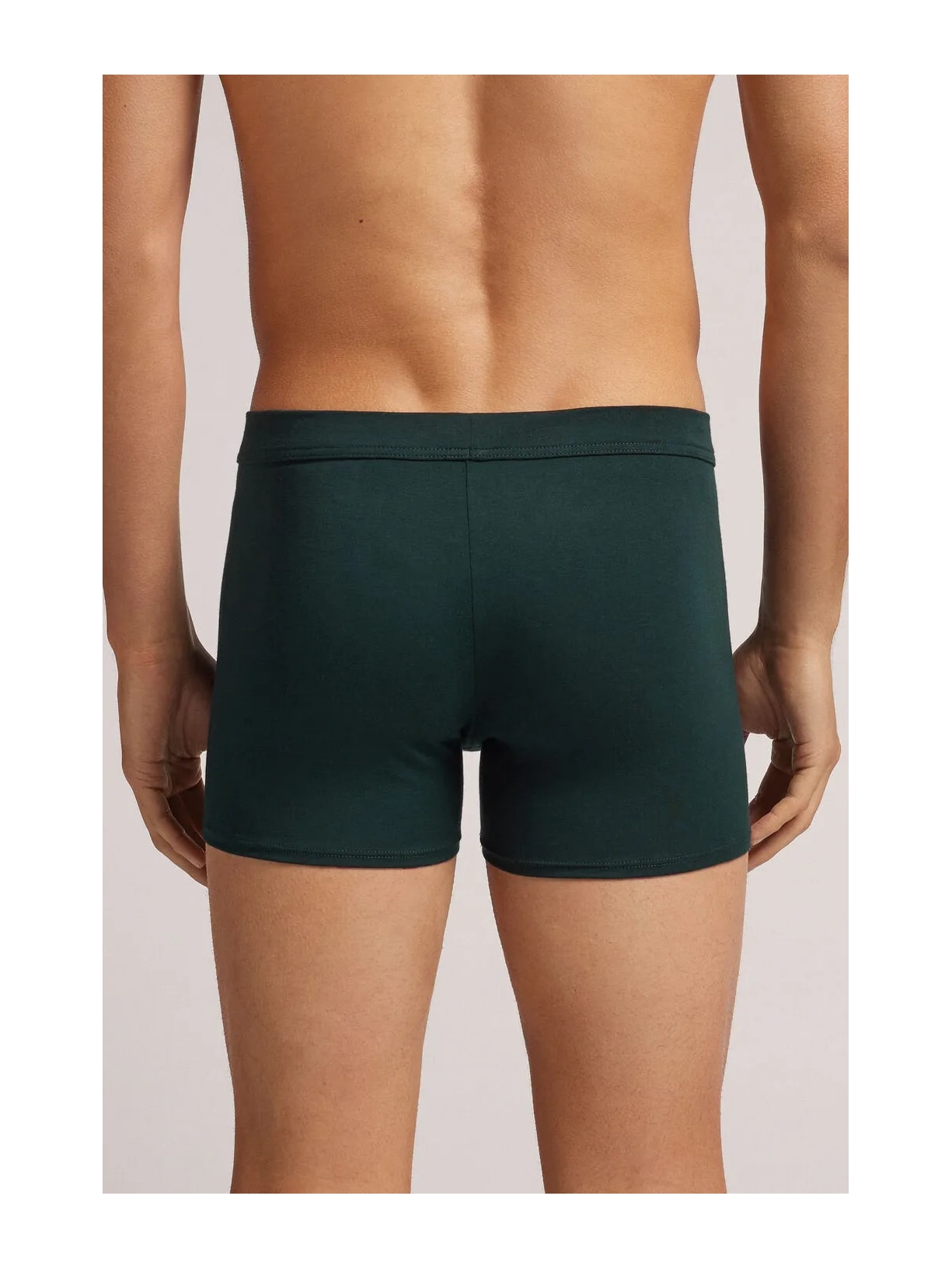 Cueca Boxer Em Algodão Supima Natural Fresh Verde Intimissimi