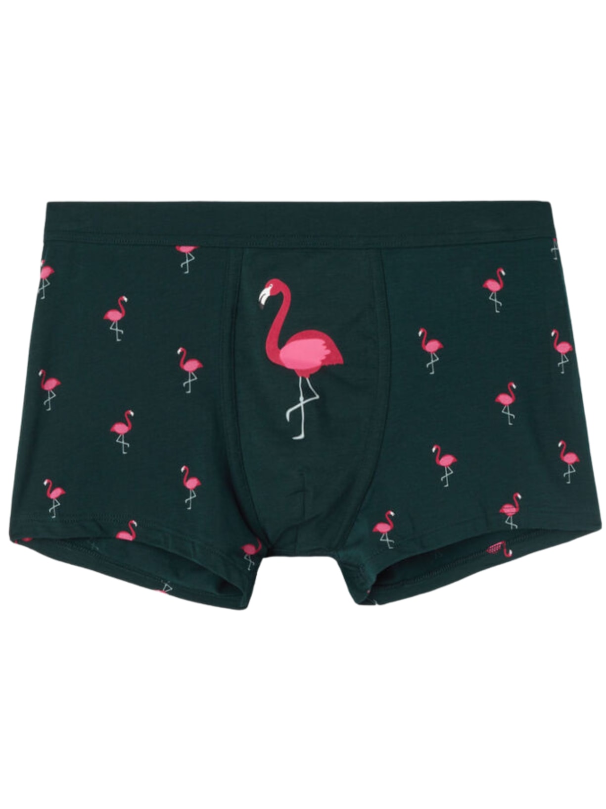 Cueca Boxer Flamingos Em Algodão Natural Fresh - Verde