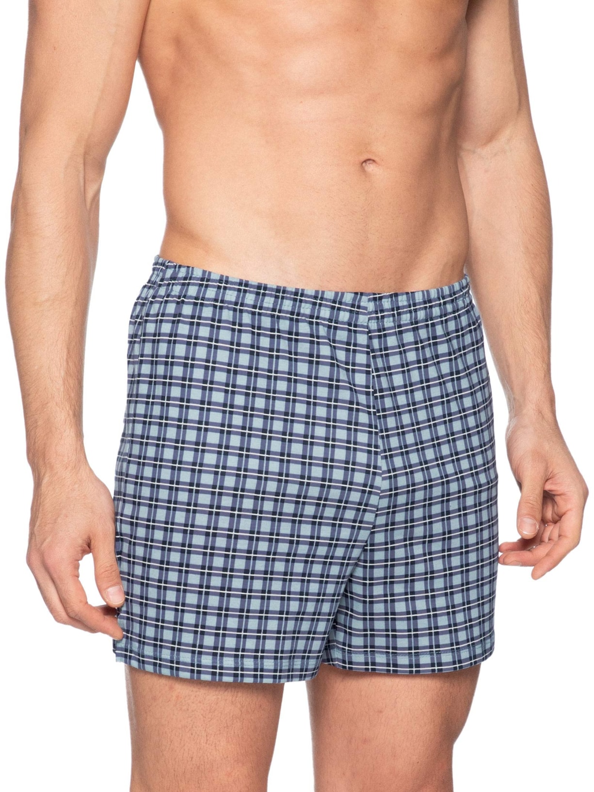 Cueca Samba Canção Em Algodão Com Saquinho Estampado Azul Hering Intimates