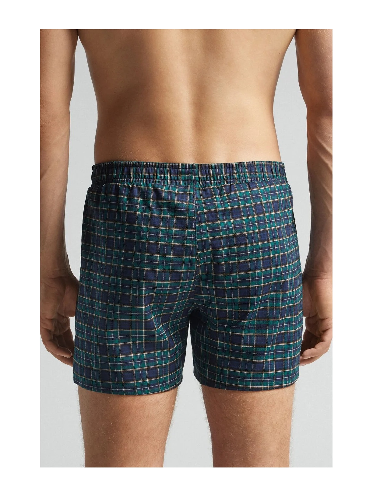 Cueca Samba Canção Em Algodão Verde Intimissimi