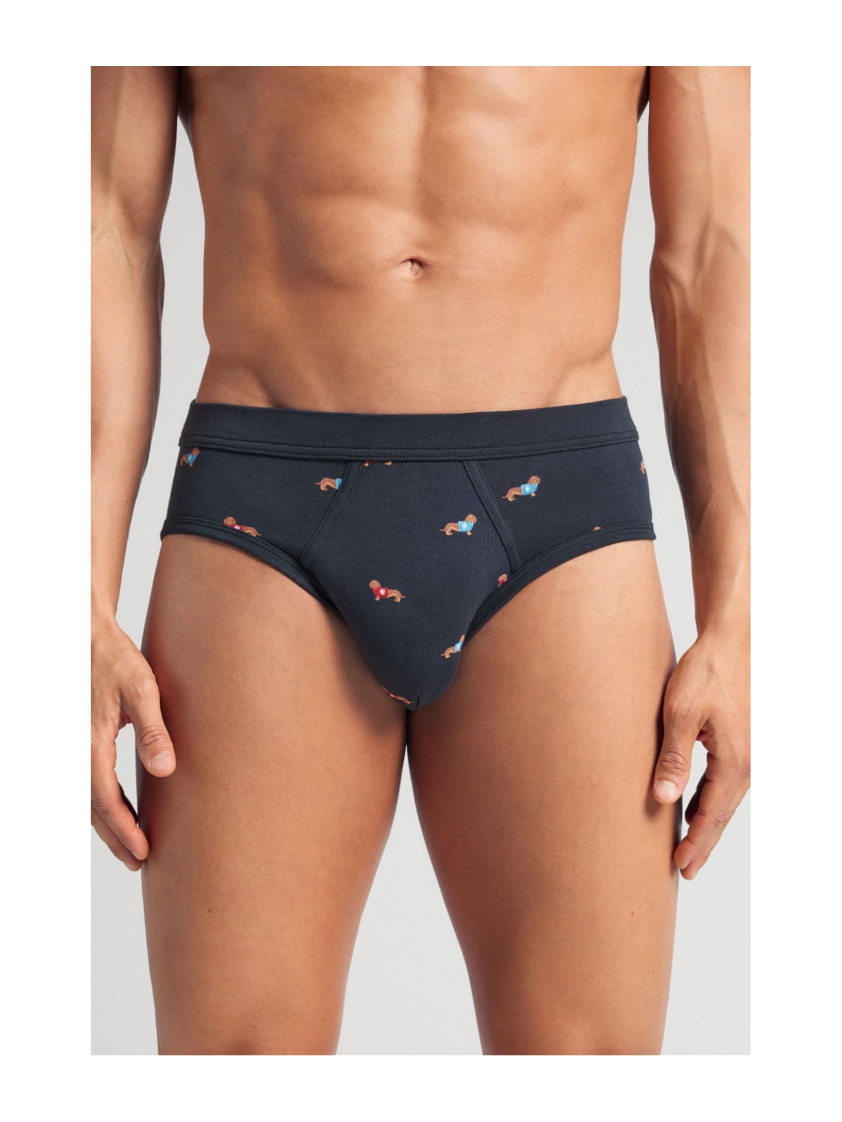 Cueca Slip Com Estampa De Cachorrinhos Em Algodão Supima Azul Intimissimi