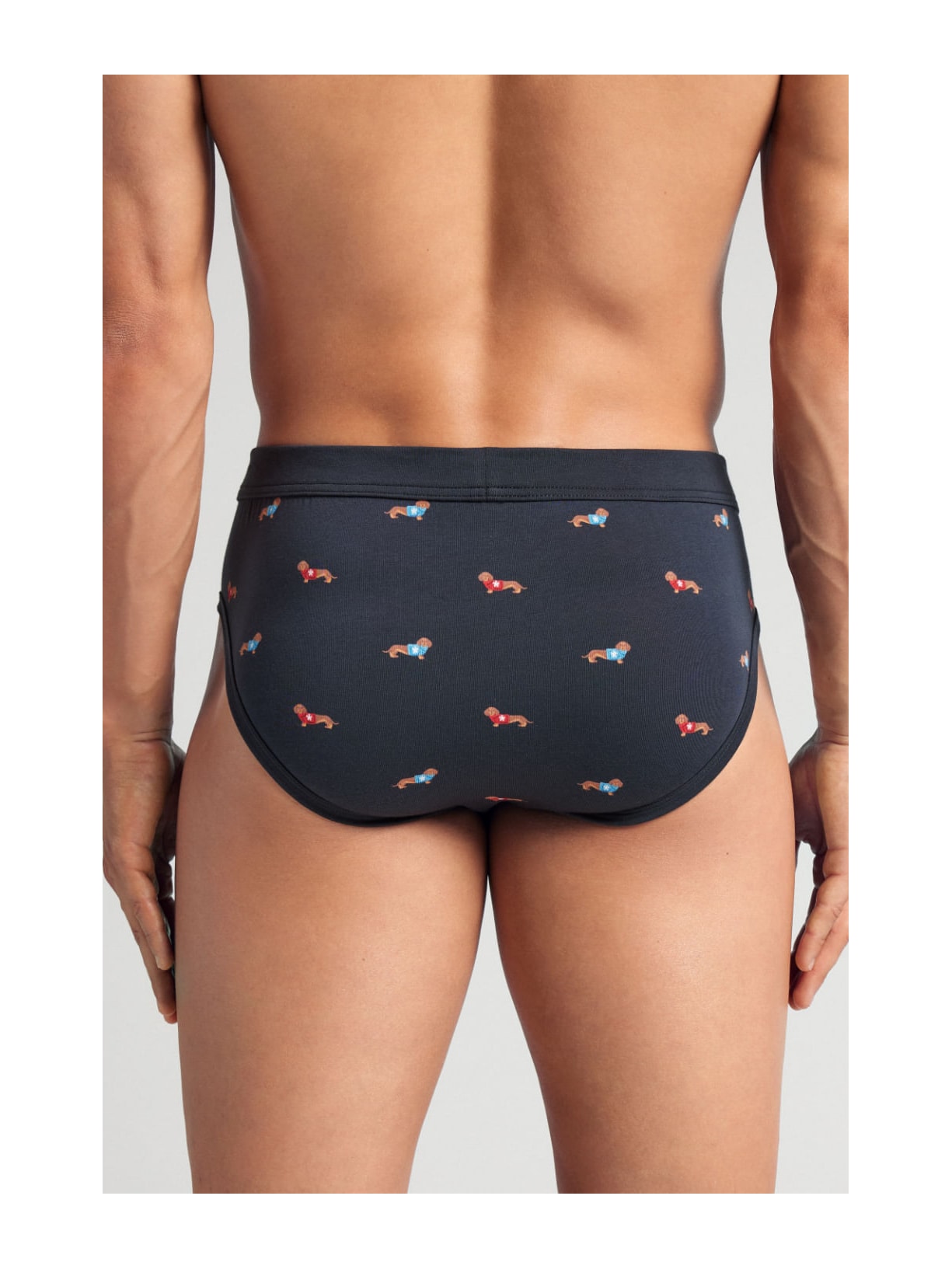 Cueca Slip Com Estampa De Cachorrinhos Em Algodão Supima Azul Intimissimi