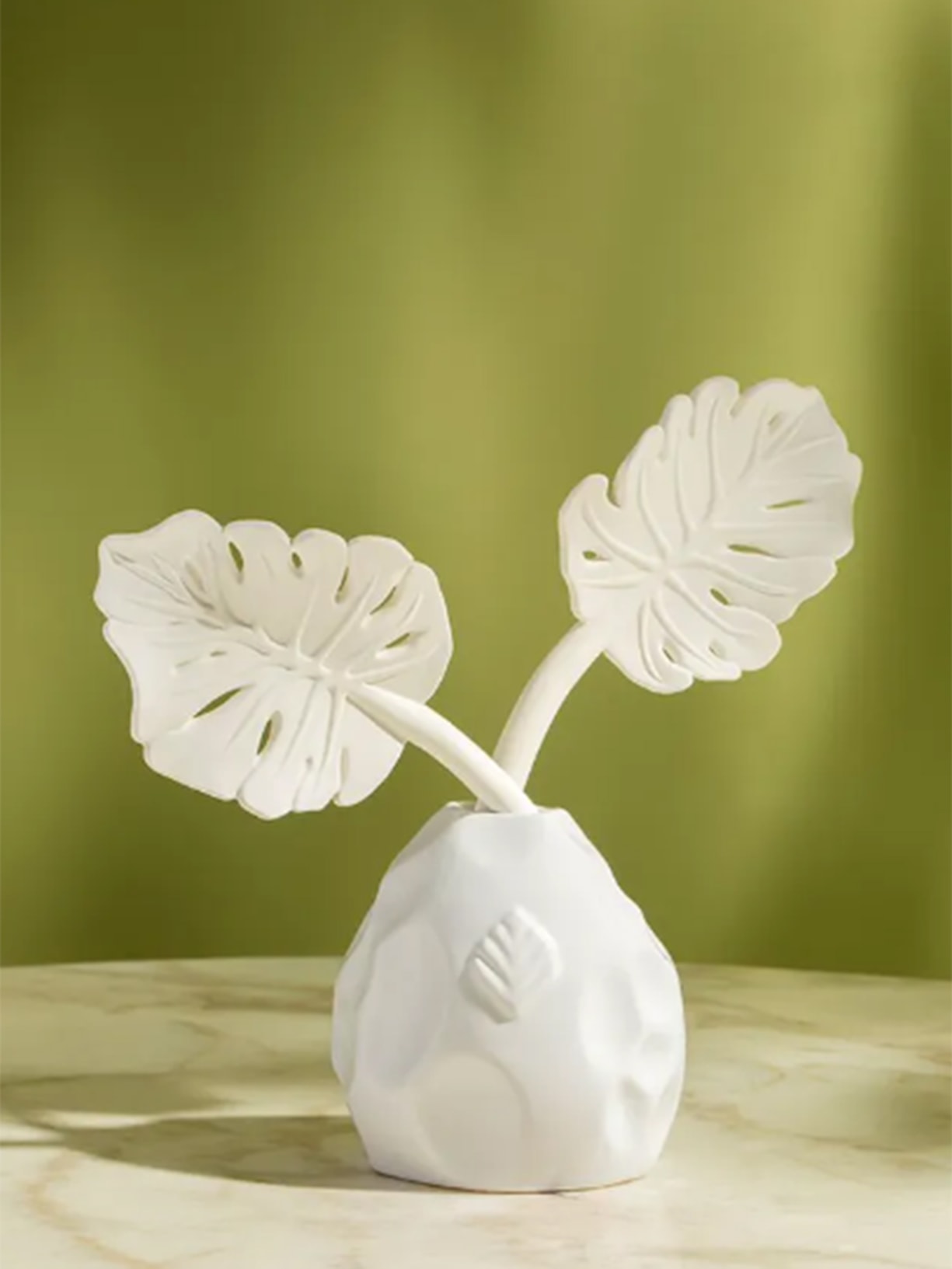 Difusor Folha Costela De Adão Branco Casa das Orquídeas Tania Bulhões