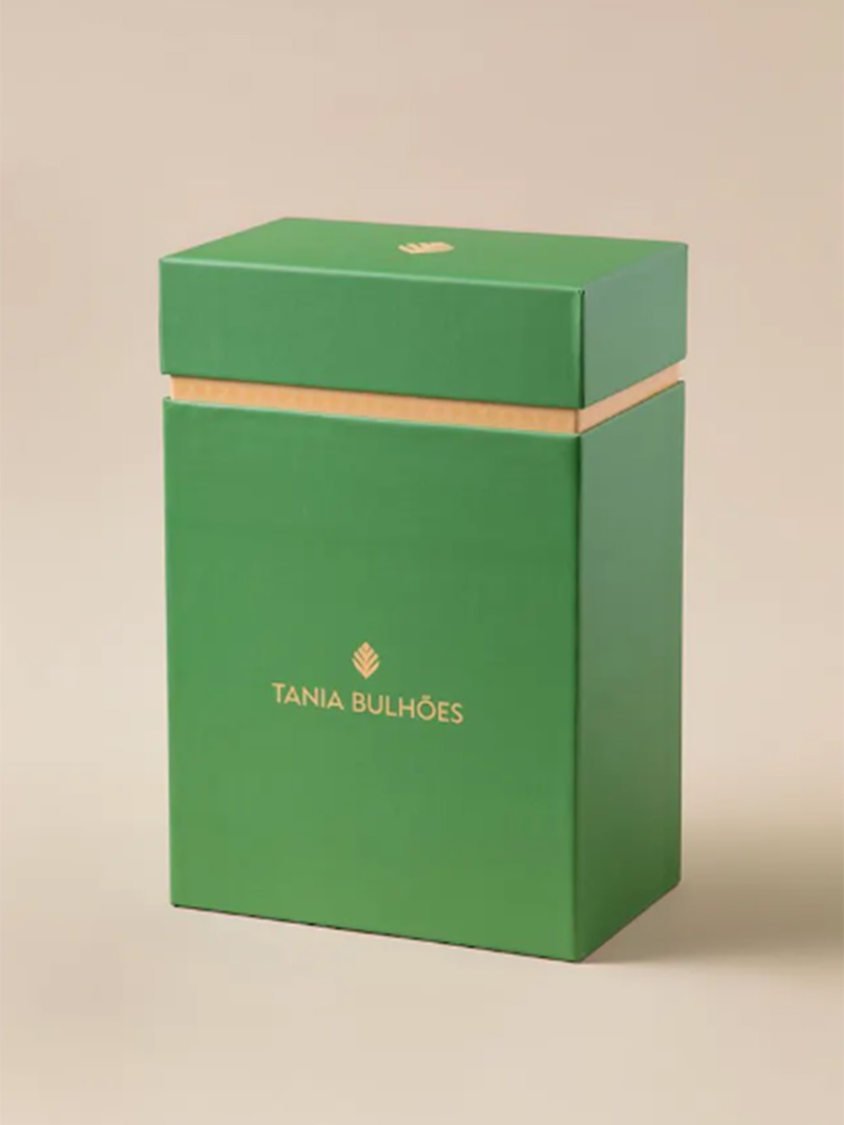 Difusor Folha Costela De Adão Branco Casa das Orquídeas Tania Bulhões