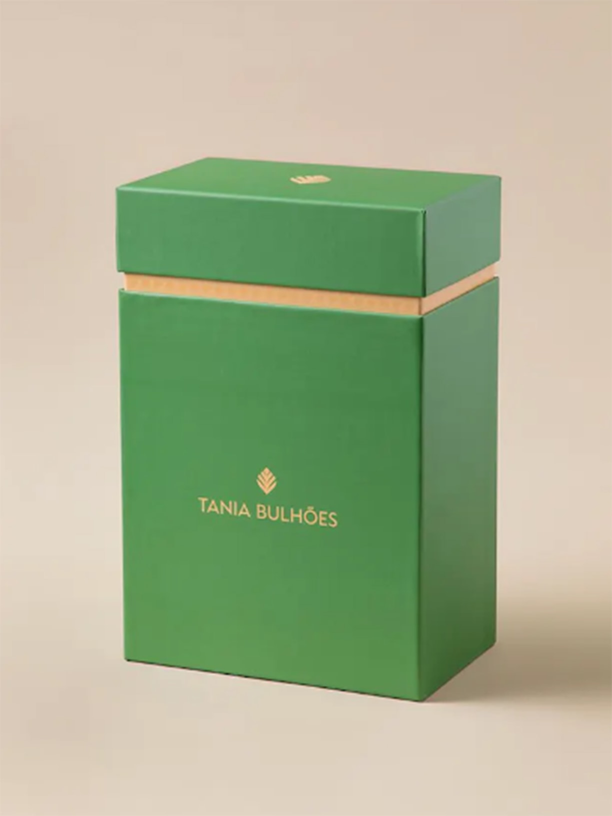 Difusor Folha Costela De Adão Prata  Casa das Orquídeas Tania Bulhões