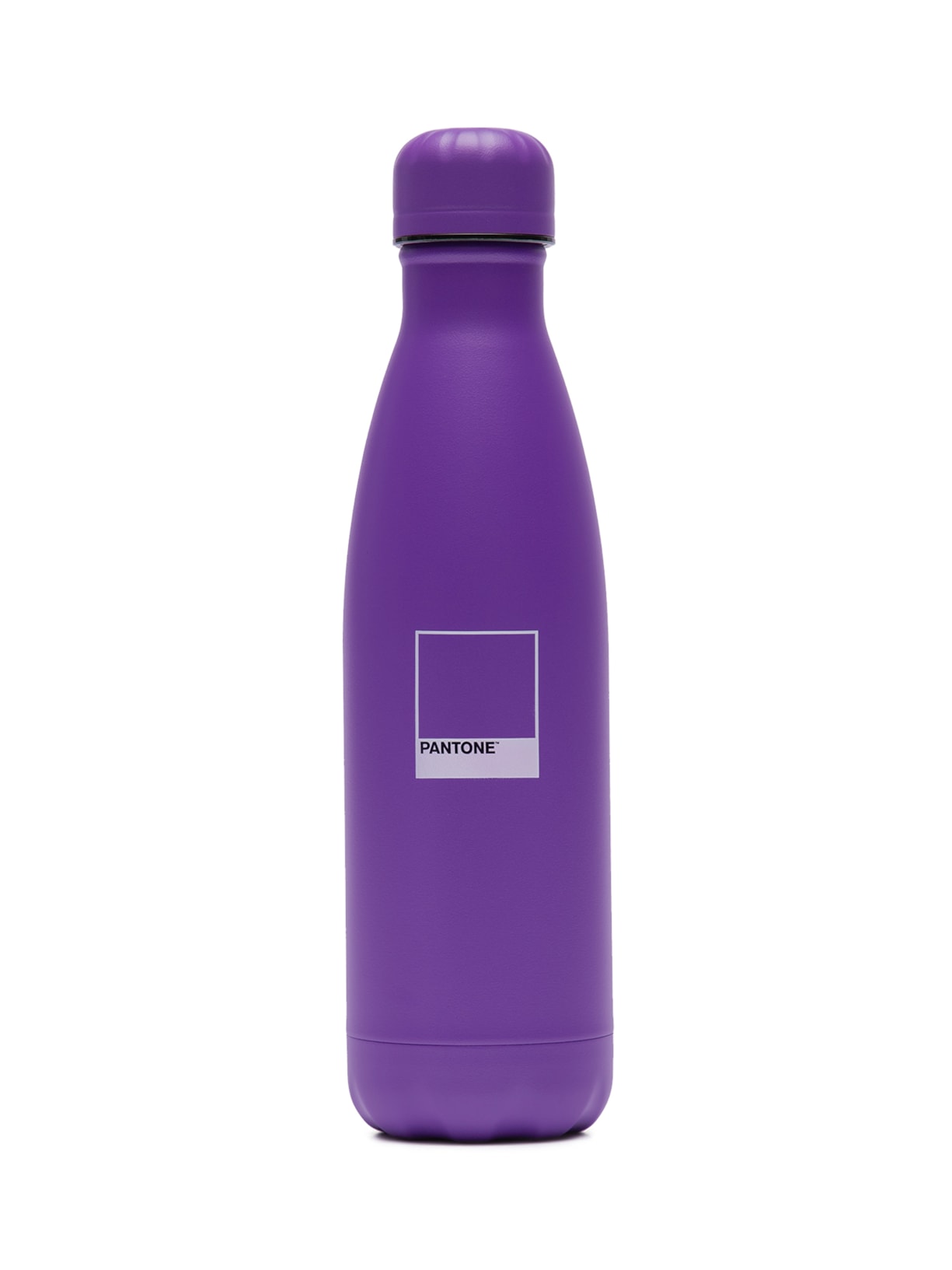 Garrafa Chip Em Aço Inox 500 ml - Roxo