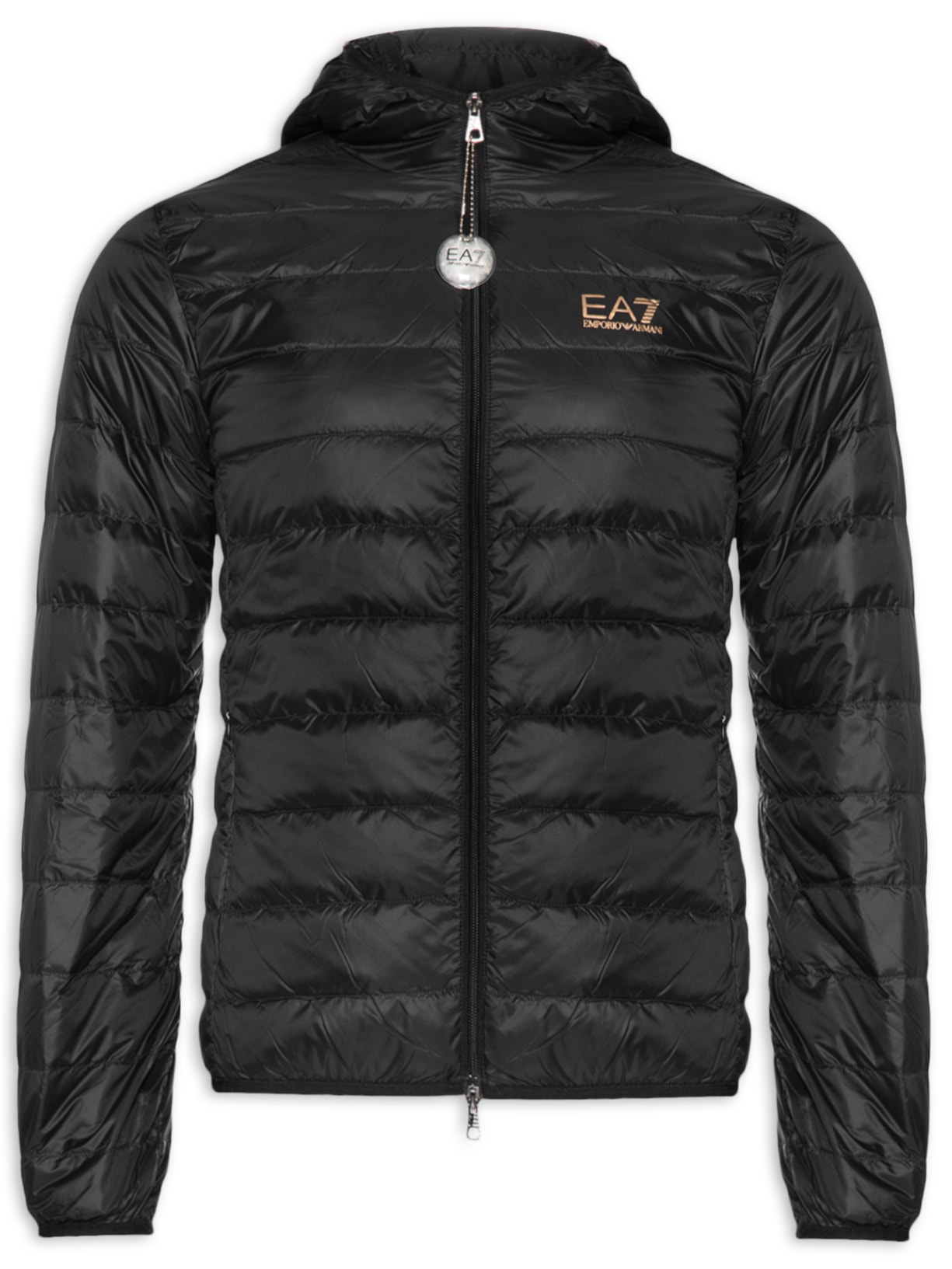 Jaqueta Masculina Down - Preto